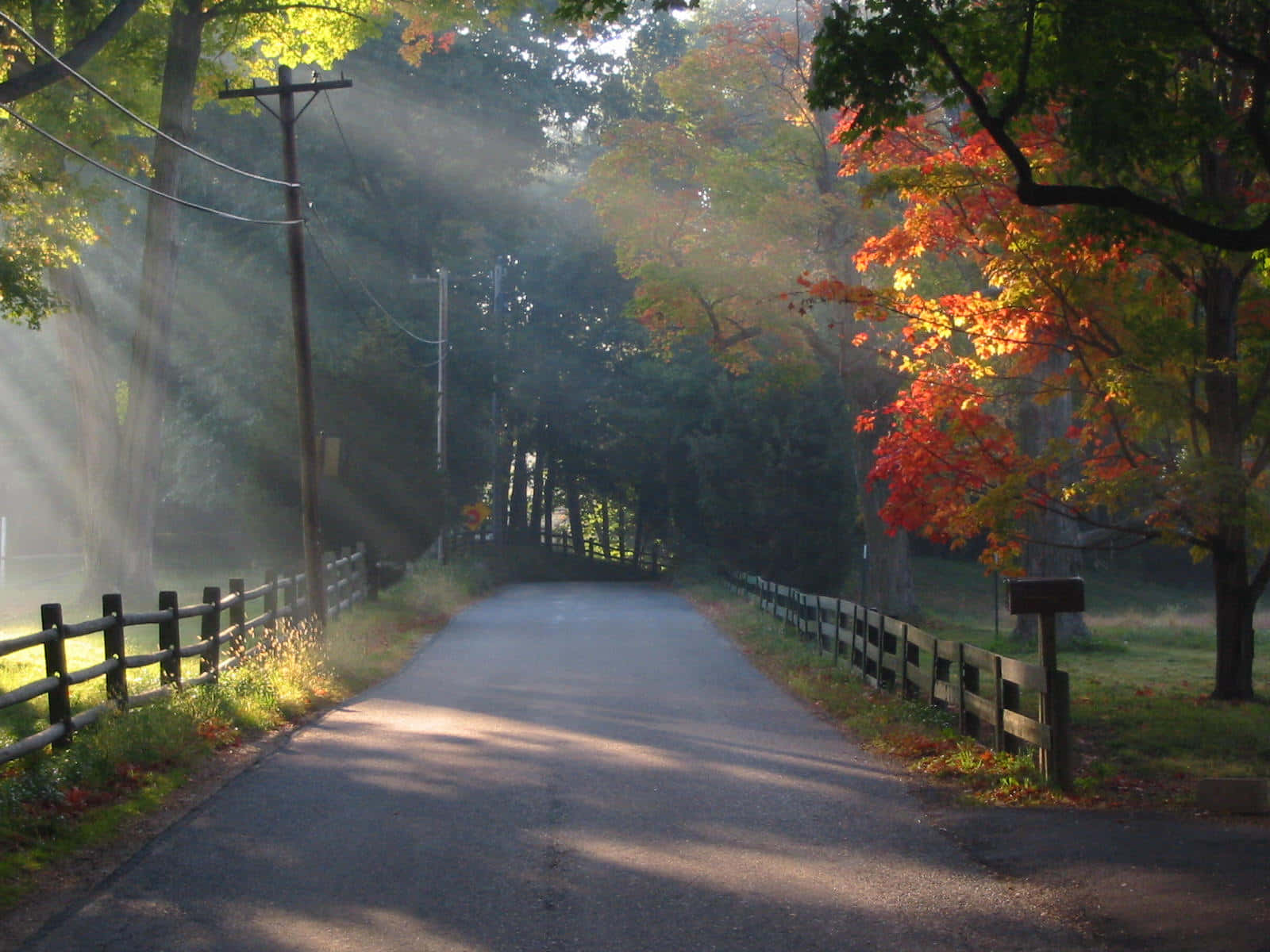 New England Autumn 桌布 壁紙 — 陽光穿過秋天的樹木，在寧靜的鄉村道路上投下金色的光芒，道路兩旁是木柵欄。