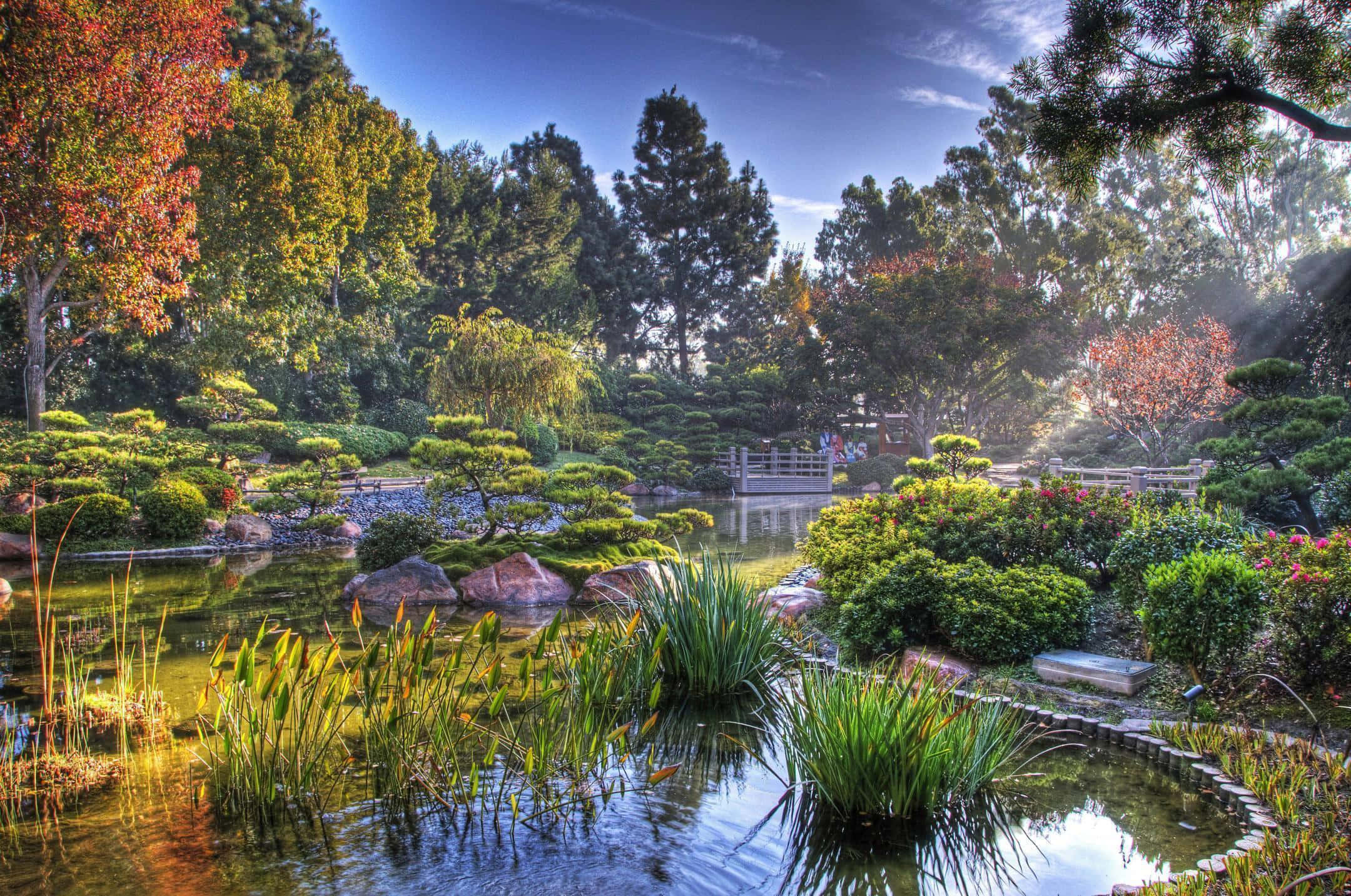 桌布 壁紙 — 陽光穿過秋樹，在寧靜的日本花園池塘上投下金色光芒，池塘上有石橋和修剪整齊的灌木。