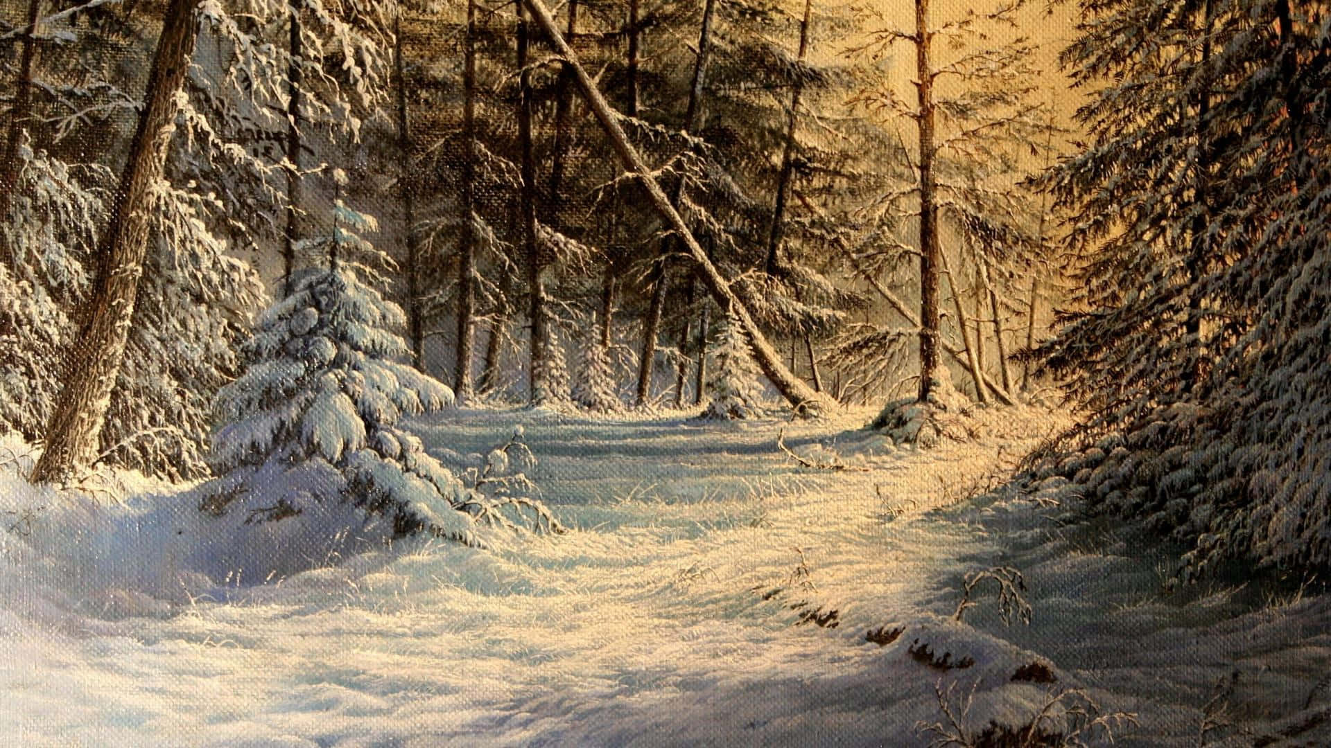 Winter Painting 桌布 壁紙 — 陽光穿過積雪的松樹，在寧靜的冬季森林小徑上灑下金色的溫暖。