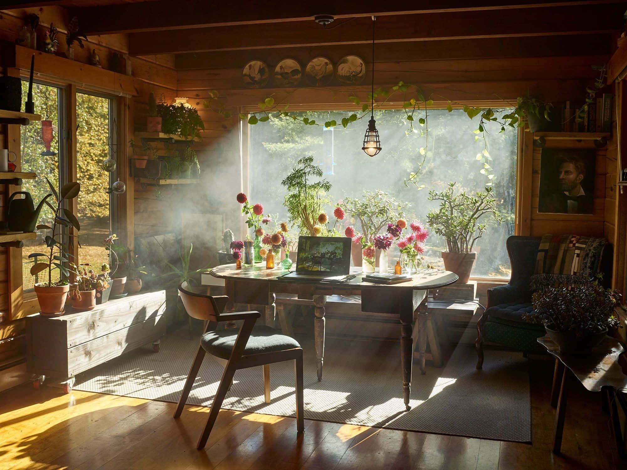 cabin 桌布 壁紙 — 陽光穿過窗戶，照亮了一個舒適的木屋內部，圓桌上擺滿了盆栽植物和鮮豔的花朵。