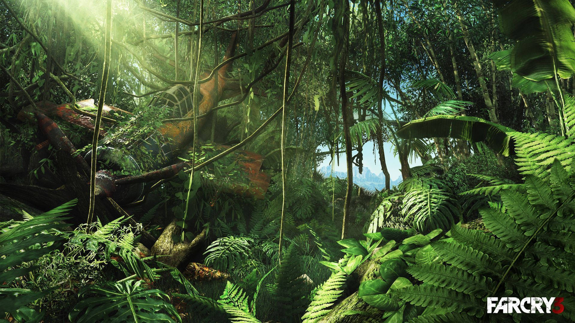 Far Cry 3 桌布 壁紙 — 陽光穿過茂密的叢林樹葉，在充滿活力的綠色蕨類植物和纏結的藤蔓上投下斑駁的光影。