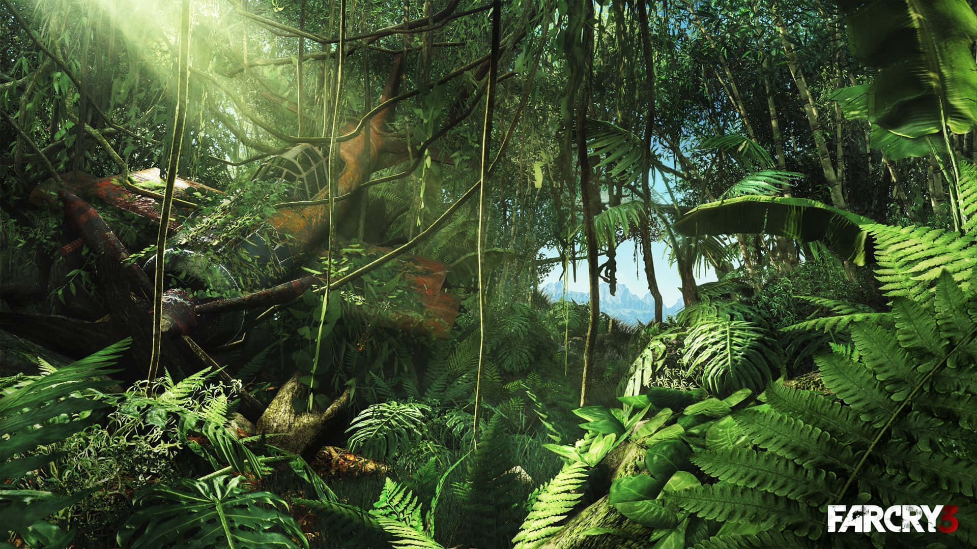 Far Cry 3 桌布 壁紙 — 陽光穿過茂密的叢林葉片，在鮮綠的蕨類植物和纏繞的藤蔓上投下斑駁的光影。