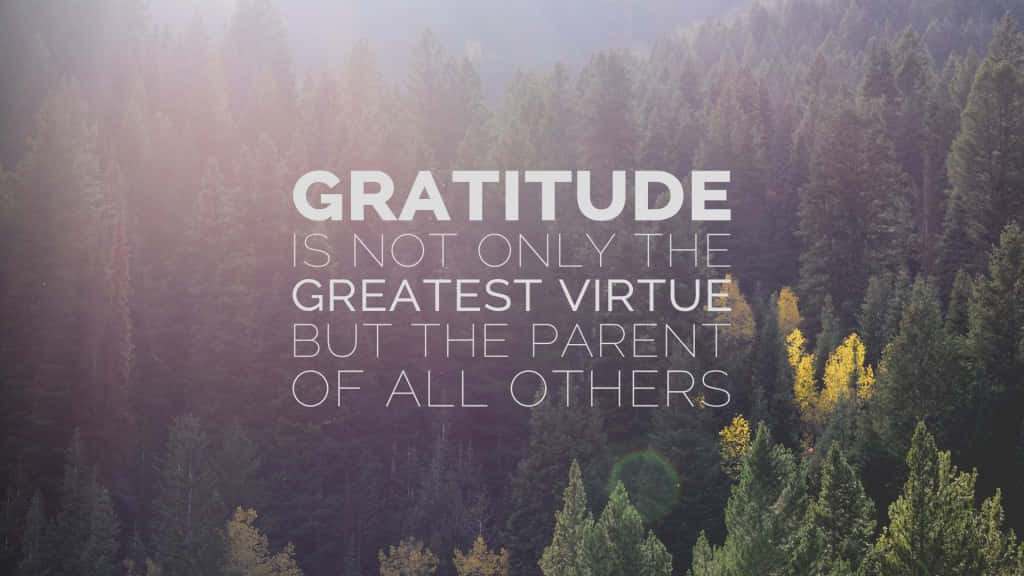 Gratitude 桌布 壁紙 — 陽光穿過茂密的松樹林，帶有金色秋色點綴和勵志文字疊加。
