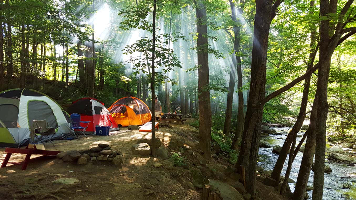Fall Camping 桌布 壁紙 — 陽光穿過茂密的森林樹冠，照亮了溪流旁色彩繽紛的露營帳篷。