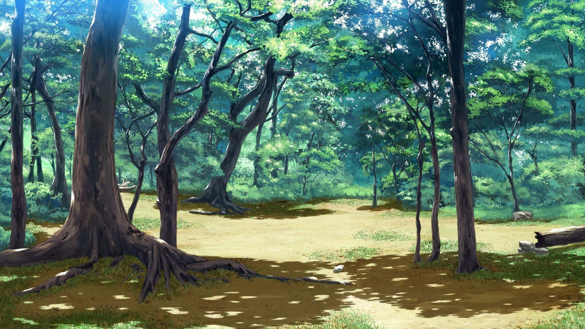 Anime Forest 桌布 壁紙 — 陽光穿過茂密的綠樹，在森林地面上投射出斑駁的陰影，地面有裸露的樹根和倒下的樹木。