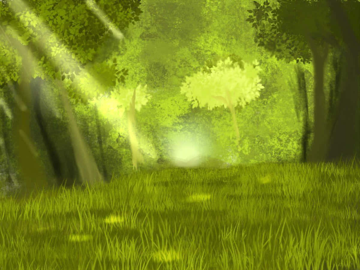 Anime Forest 桌布 壁紙 — 陽光穿過茂密的綠樹，將空靈的光束投射在充滿活力的草地森林地面上。