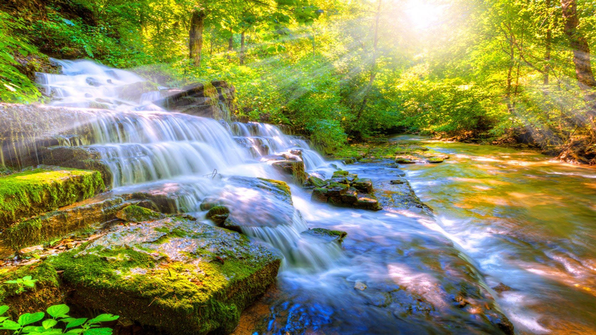 Relaxing Desktop 桌布 壁紙 — 陽光穿過茂密的綠色森林，照亮了流過長滿苔蘚岩石的層疊瀑布。