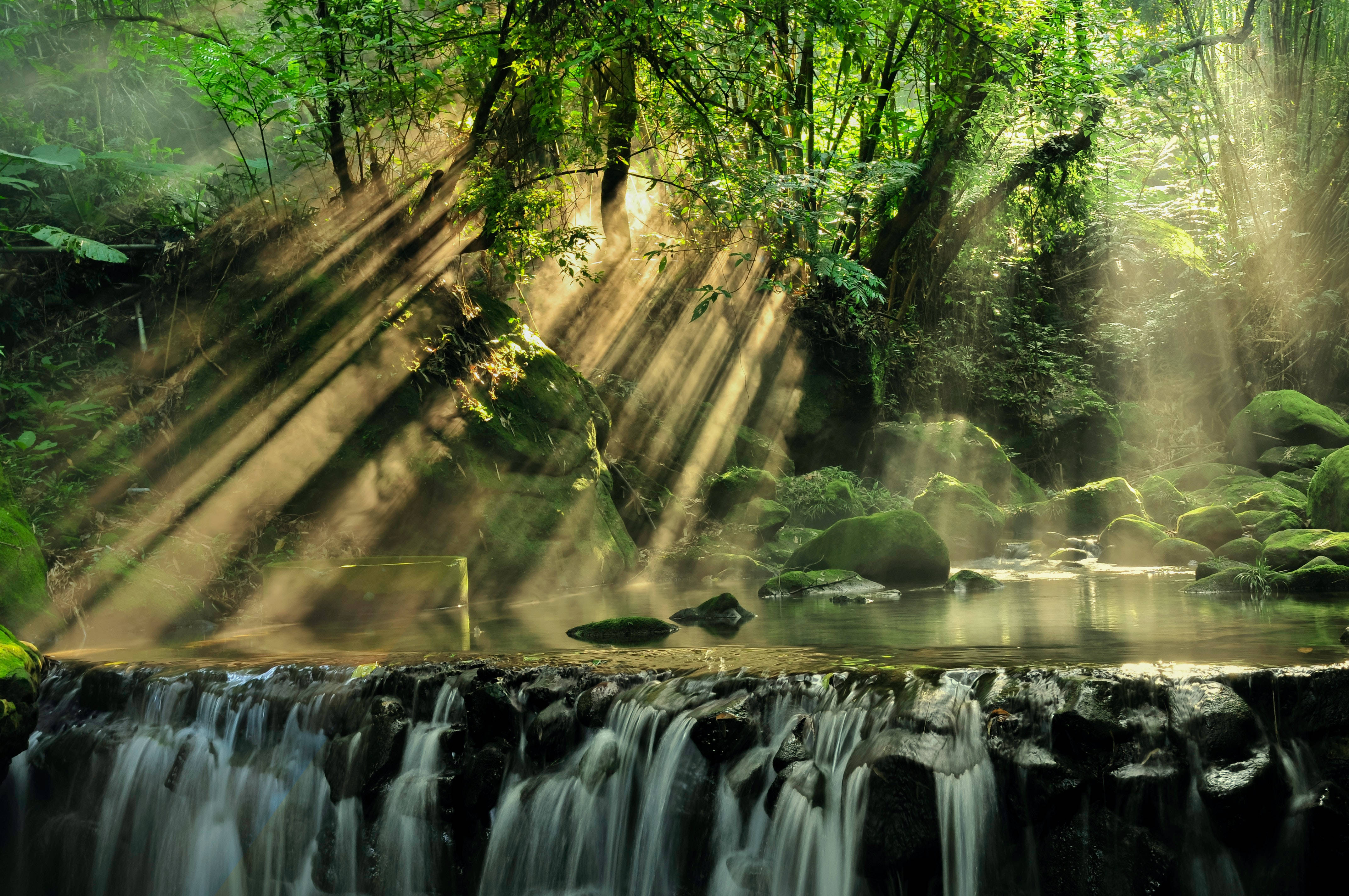 Rainforest 桌布 壁紙 — 陽光穿過茂密的綠色森林樹冠，照亮了瀑布和長滿苔蘚的岩石上的薄霧。
