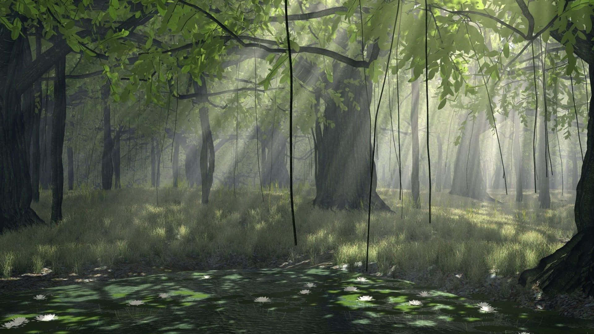 3d Forest 桌布 壁紙 — 陽光穿過茂密的綠色樹冠，在長滿苔蘚的森林地面上投下斑駁的陰影，還有一個點綴著白色睡蓮的寧靜池塘。