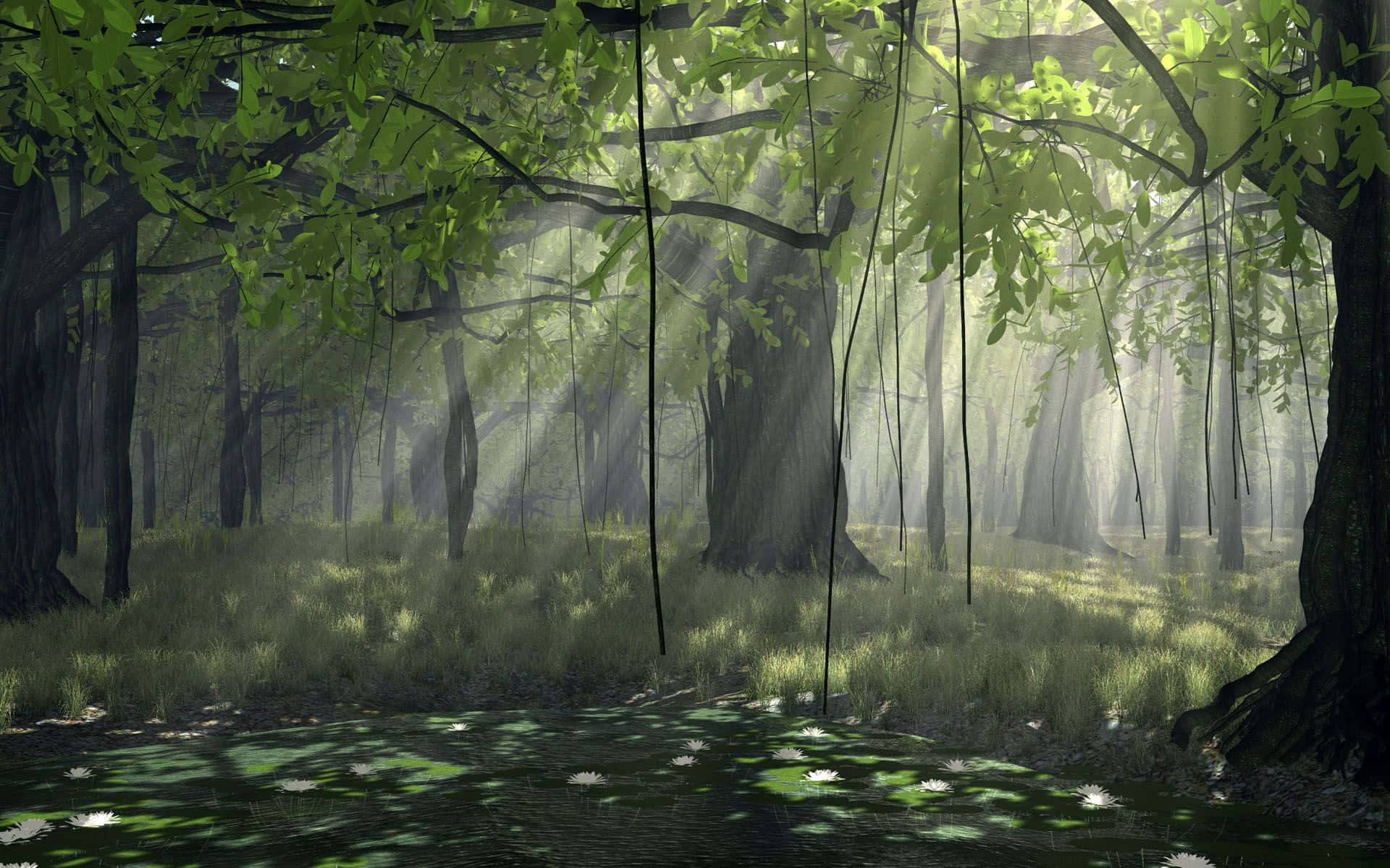 Anime Forest 桌布 壁紙 — 陽光穿過茂密的綠色樹冠，將空靈的光束投射到長滿苔蘚、點綴著白色睡蓮的森林地面上。