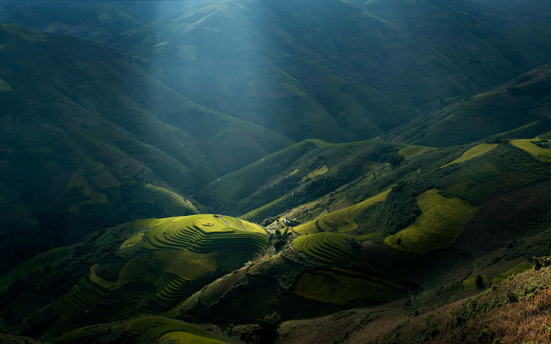 Valley 桌布 壁紙 — 陽光穿過薄霧，照亮了雕刻在起伏山坡上的翠綠梯田。