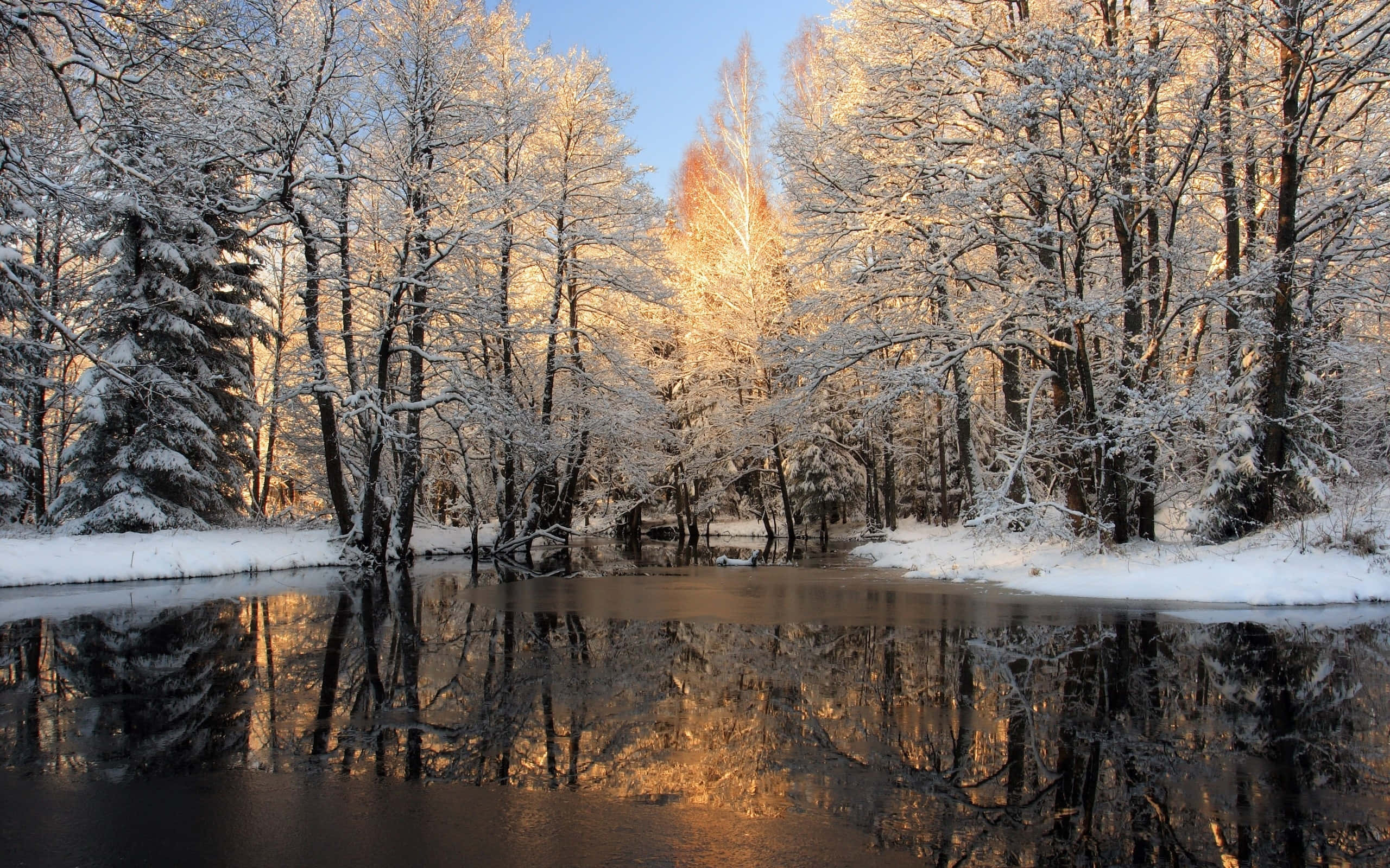 Beautiful Winter 桌布 壁紙 — 陽光穿過覆蓋著雪的樹木，在平靜的冬日河流上投射出金色的倒影。