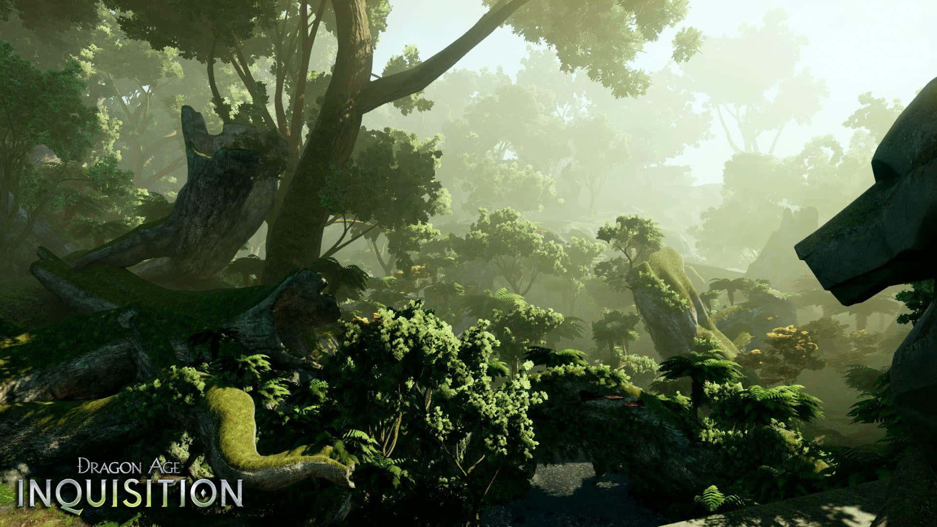 Best Dragon Age Inquisition 桌布 壁紙 — 陽光穿過長滿苔蘚的古老樹木，灑落在一個迷霧籠罩、有石頭廢墟的魔法森林中。