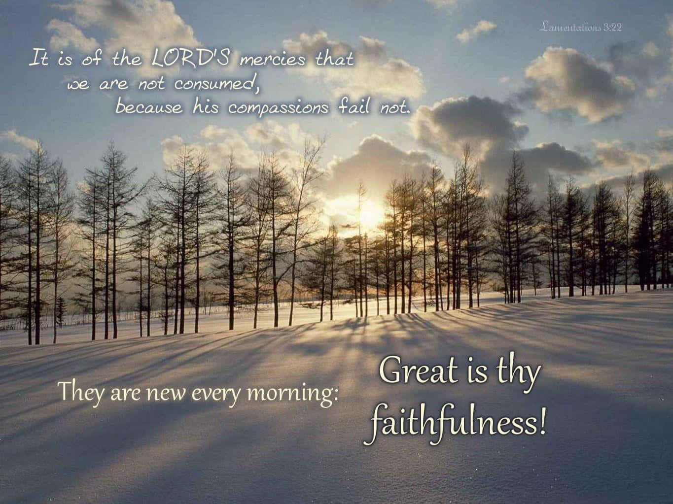 Christian Quotes 桌布 壁紙 — 陽光穿過雲層，在白雪覆蓋、兩旁光禿樹木的地面上投下長長的影子。