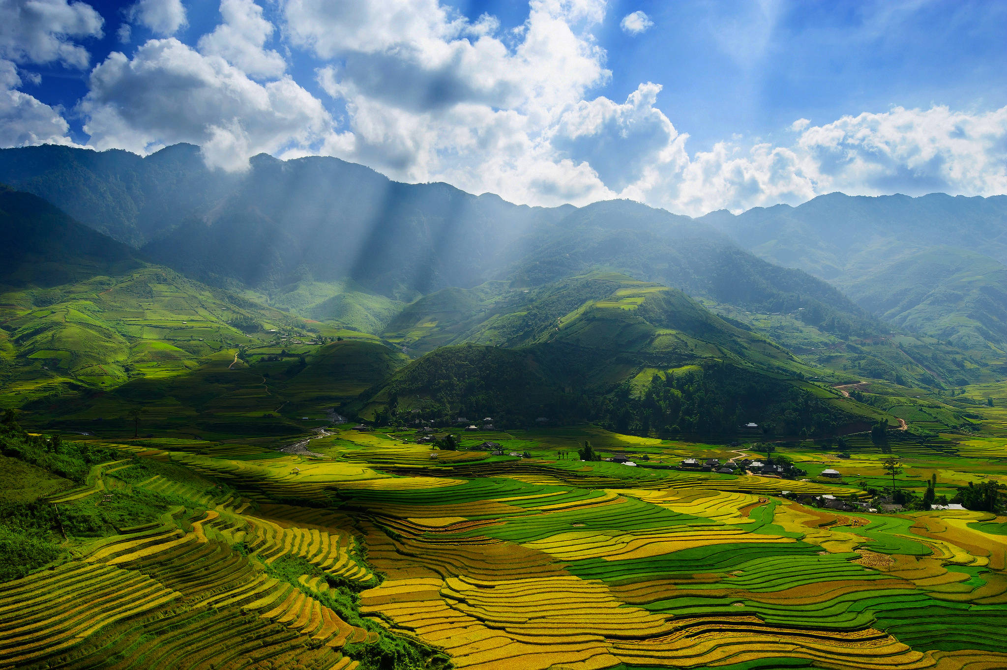 Vietnam 桌布 壁紙 — 陽光穿過雲層，照亮了連綿山巒之間翠綠金黃的梯田。