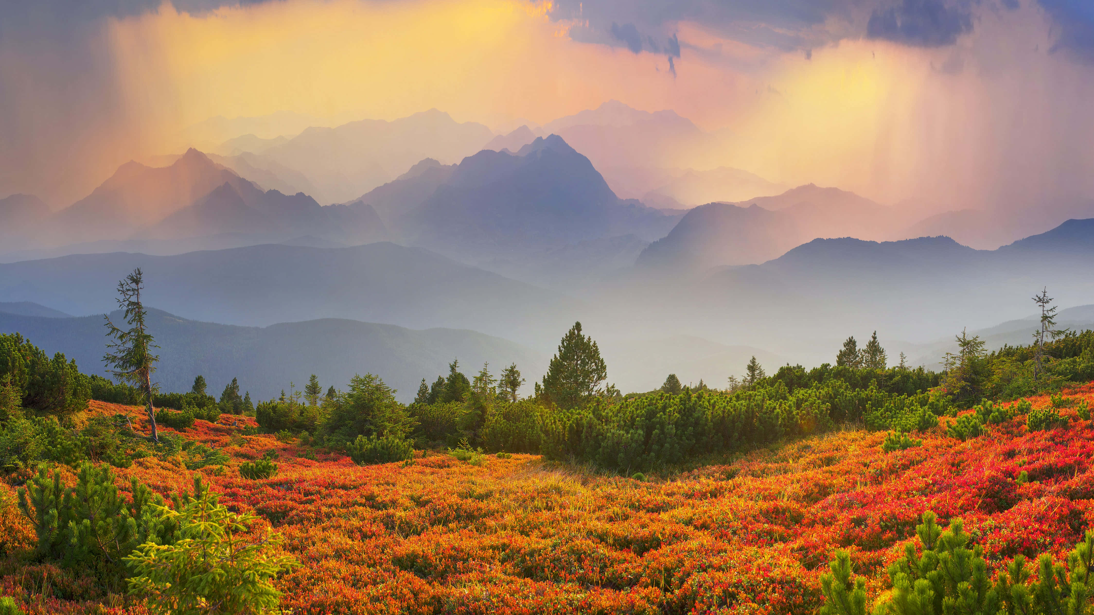 environment 桌布 壁紙 — 陽光穿過雲層，照耀在煙霧繚繞的山巒上，前景是鮮豔的橙紅色樹葉。
