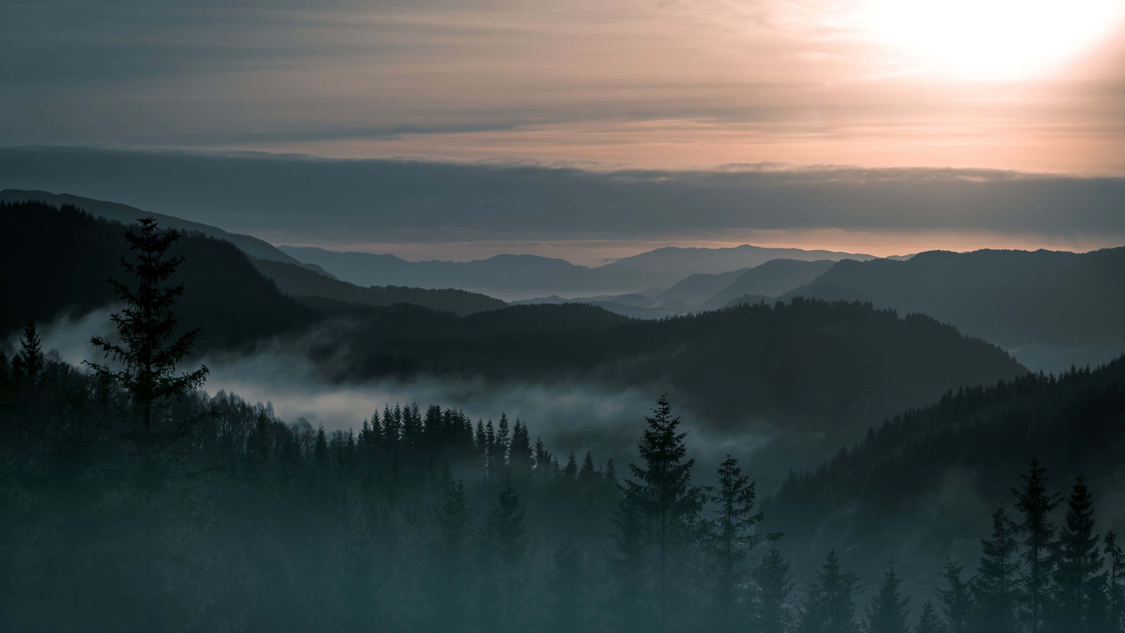 Fog 桌布 壁紙 — 陽光穿過雲層，照耀在煙霧繚繞的山谷上，前景是常綠樹的剪影。
