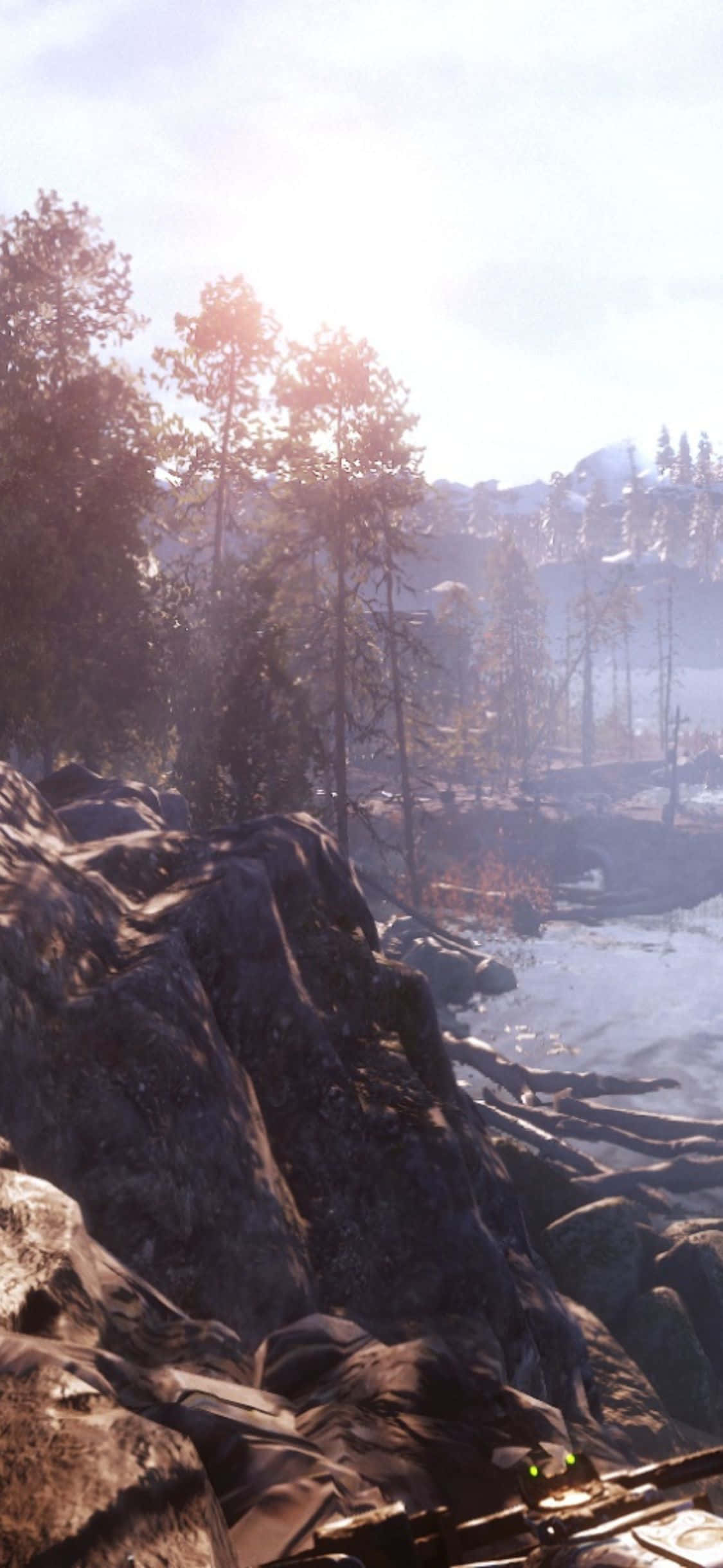 iPhone X Metro Exodus 桌布 壁紙 — 陽光穿過高大的松樹，在岩石河岸上投射出金色的光線，下方是霧氣瀰漫的水面。
