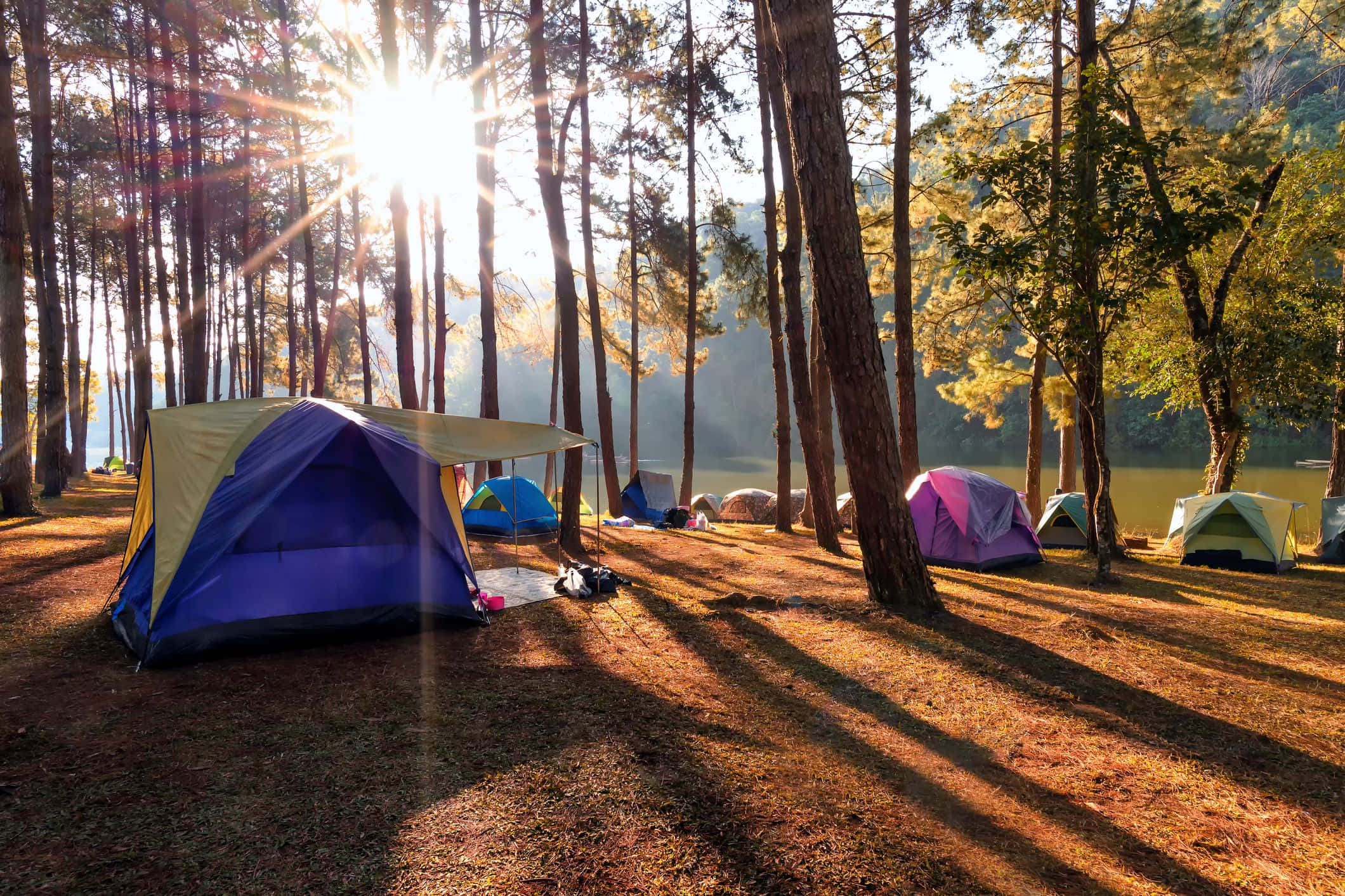Camping 桌布 壁紙 — 陽光穿過高大的松樹，在平靜的湖邊搭建的彩色帳篷上投下長長的影子。