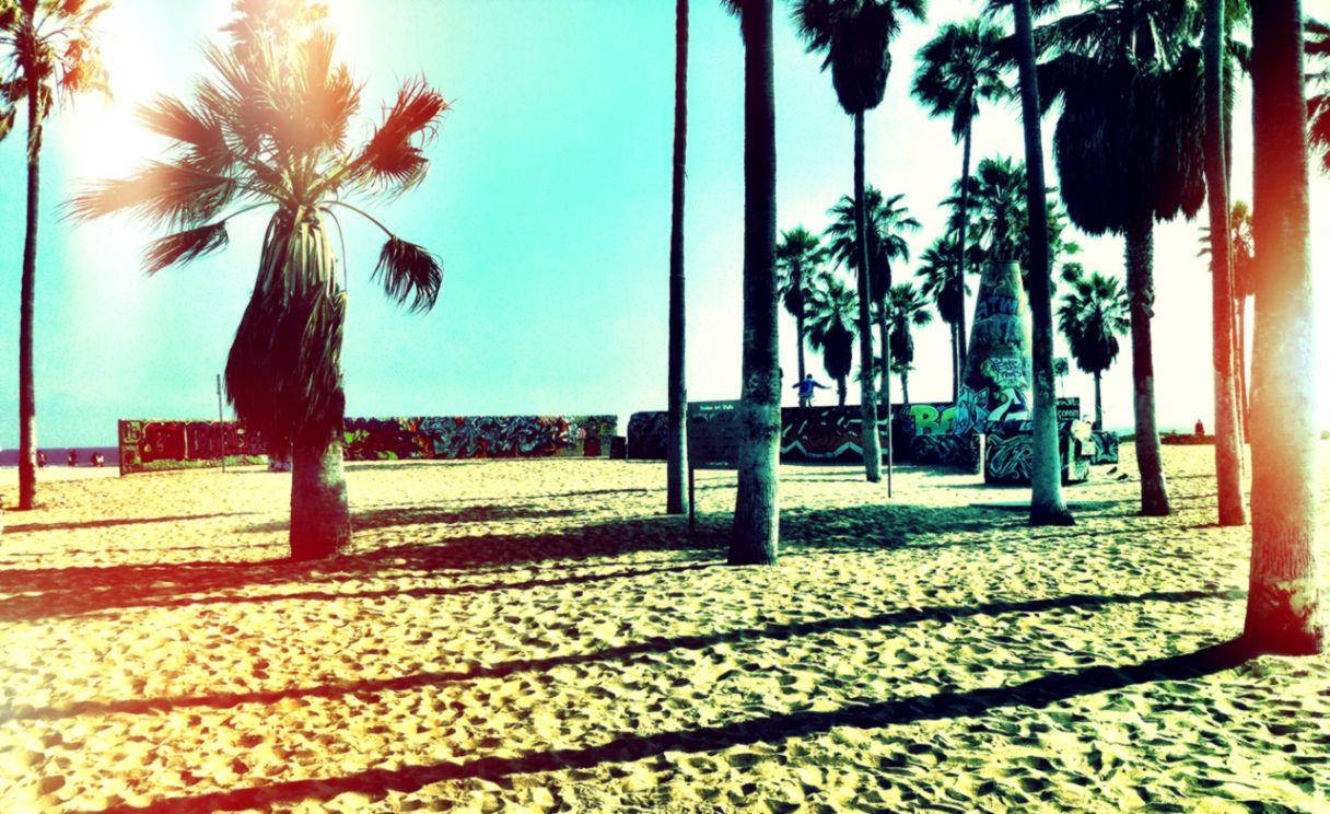 Venice Beach 桌布 壁紙 — 陽光穿過高大的棕櫚樹，在沙灘上投下長長的影子，背景有塗鴉牆。