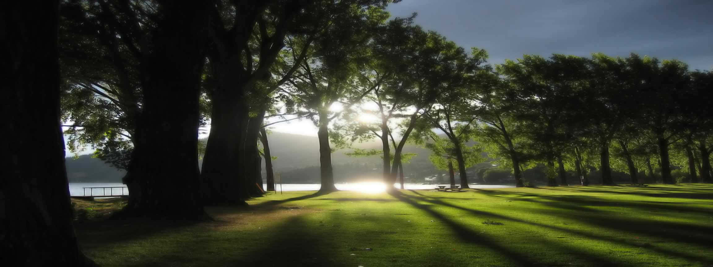 hope 桌布 壁紙 — 陽光穿過高大的樹木，在平靜的湖邊翠綠的草坪上投下長長的影子。