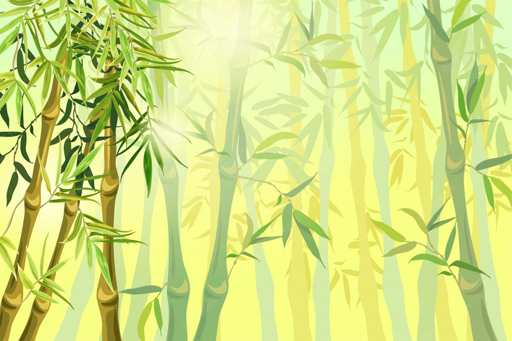 Chinese Bamboo 桌布 壁紙 — 陽光穿過高大的綠色竹莖，營造出寧靜的森林氛圍。