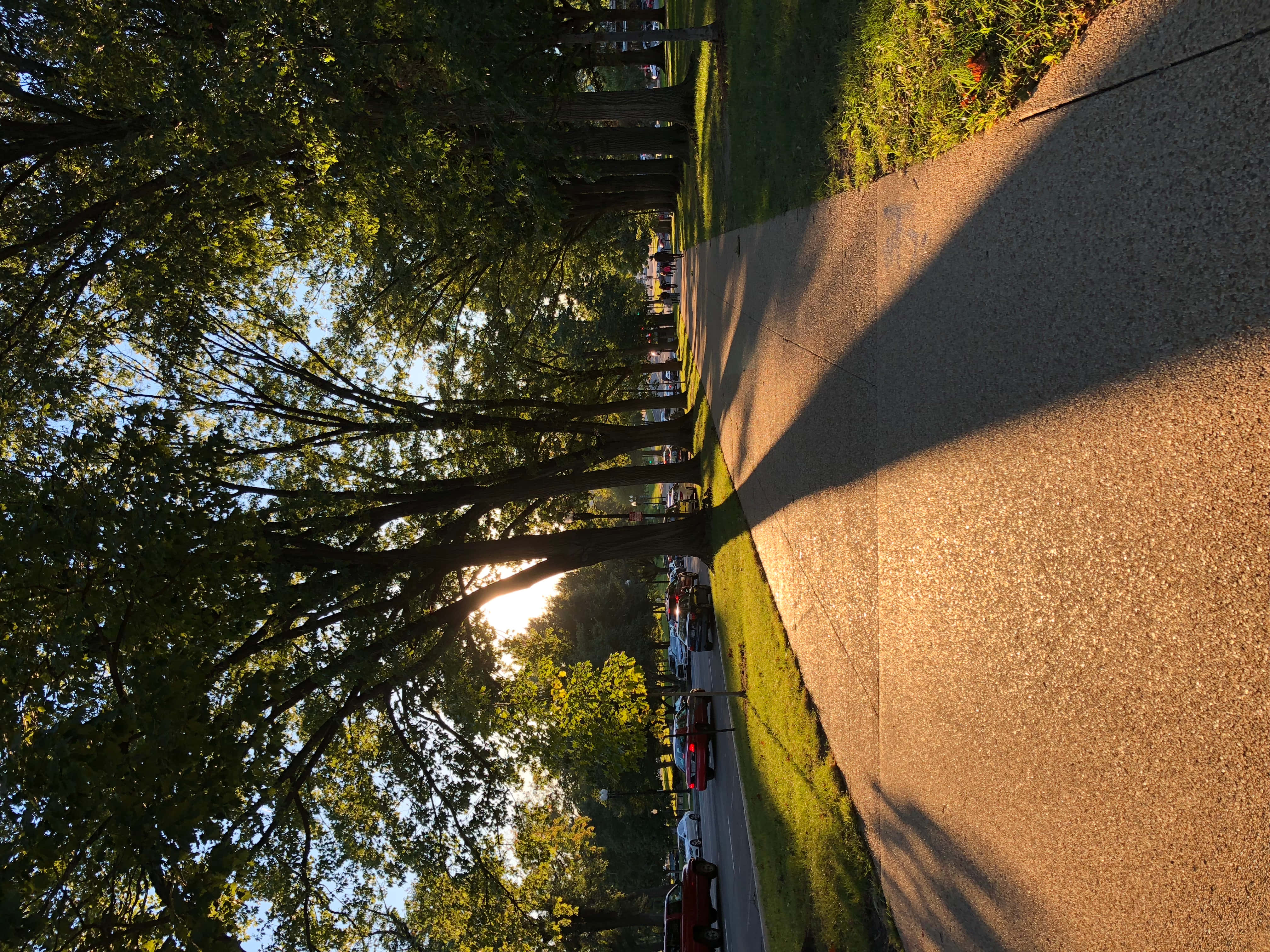 Sidewalk 桌布 壁紙 — 陽光穿過高聳的樹木，在停滿汽車的寧靜郊區街道上投下長長的影子。