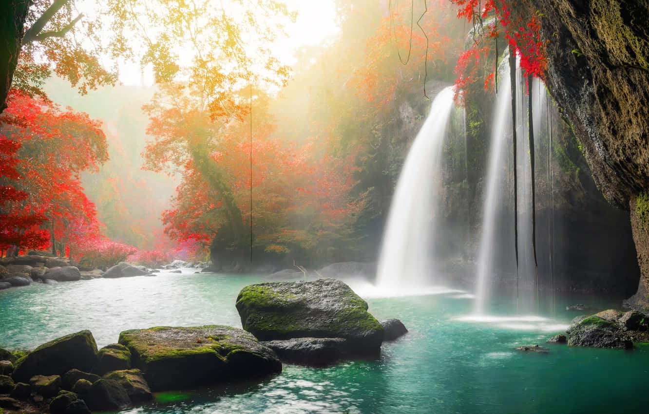 Beautiful Forest 桌布 壁紙 — 陽光穿過鮮紅的秋葉，照亮了層疊的瀑布，流入被苔蘚岩石環繞的碧綠水池。