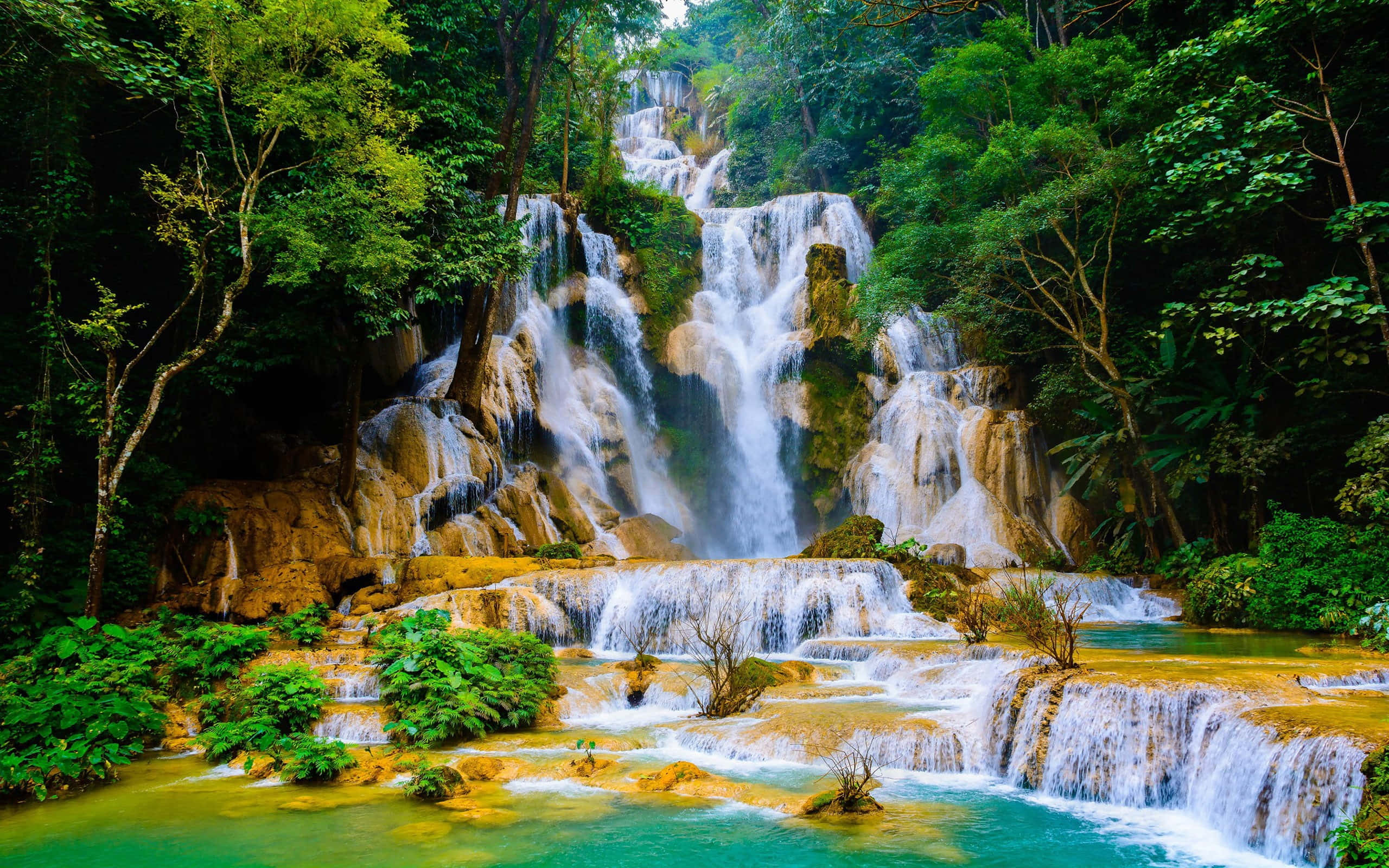 Picturesque 桌布 壁紙 — 雄偉的多層瀑布穿過茂密的綠色叢林，流入下方的碧綠水池。
