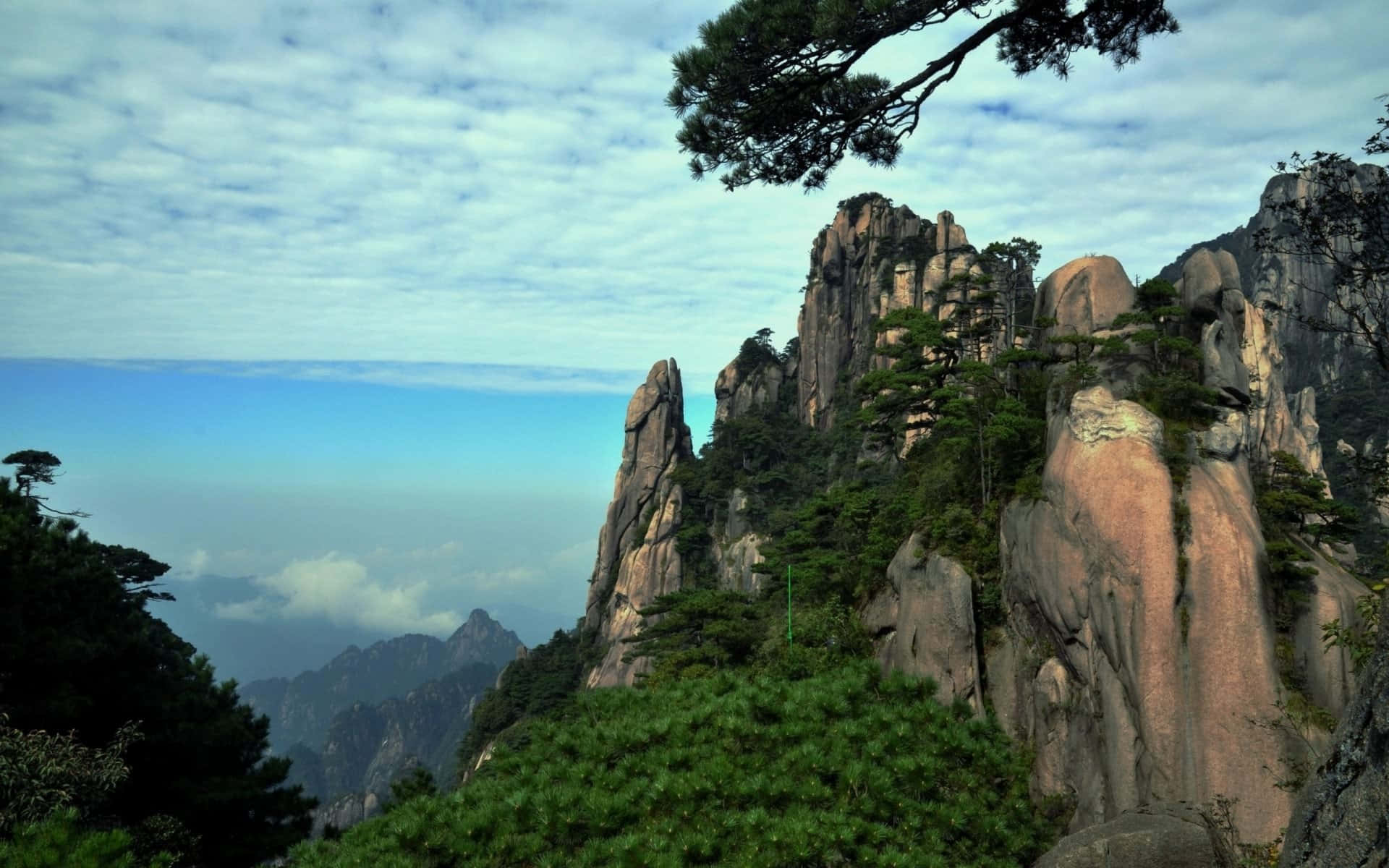 山景 桌布 壁紙 — 雄偉的山峰聳立於雲海之上，崎嶇的懸崖和堅韌的松樹在柔和的藍天下。