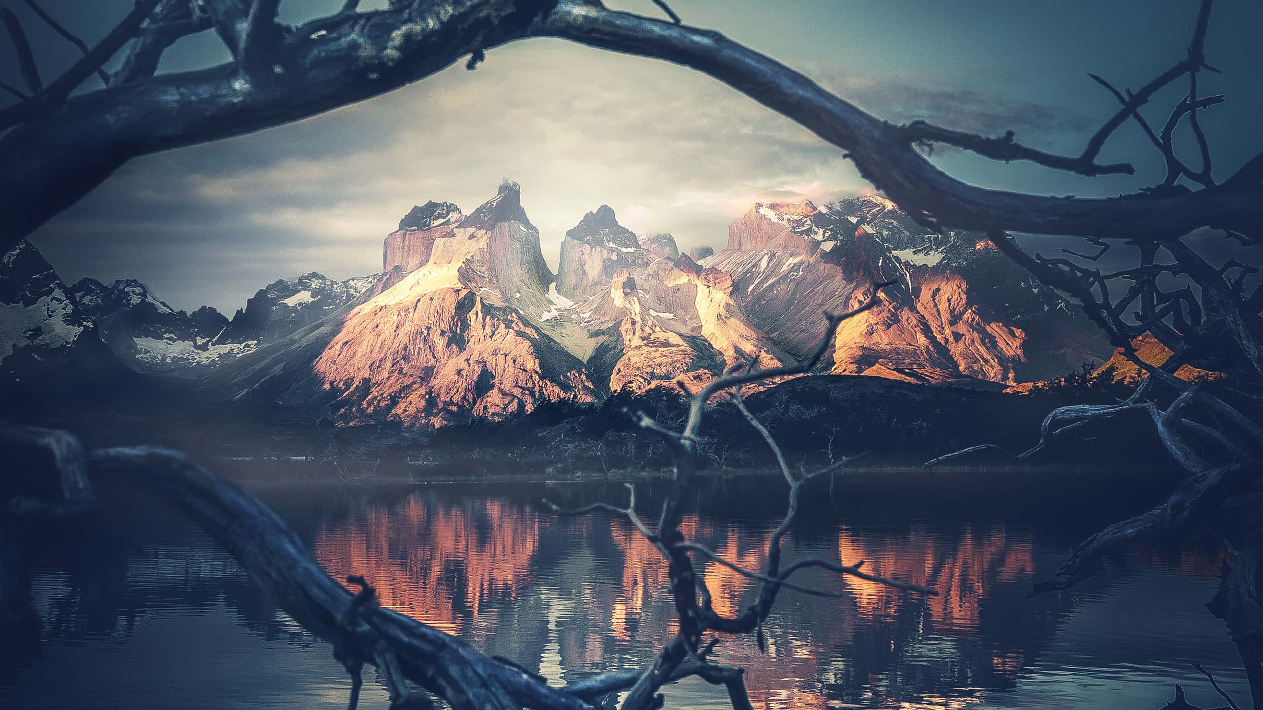 Mountain Scenery 桌布 壁紙 — 雄偉的山脈沐浴在金色的日落光芒中，倒映在由黑暗光禿樹枝框住的平靜水面上。