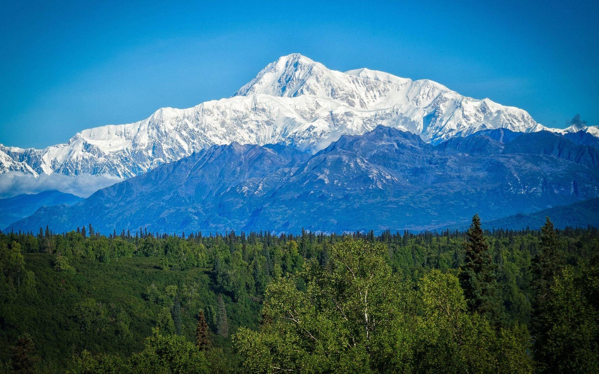 山景 桌布 壁紙 — 雄偉的雪山山脈在晴朗的藍天下，從茂密的綠色森林中升起。