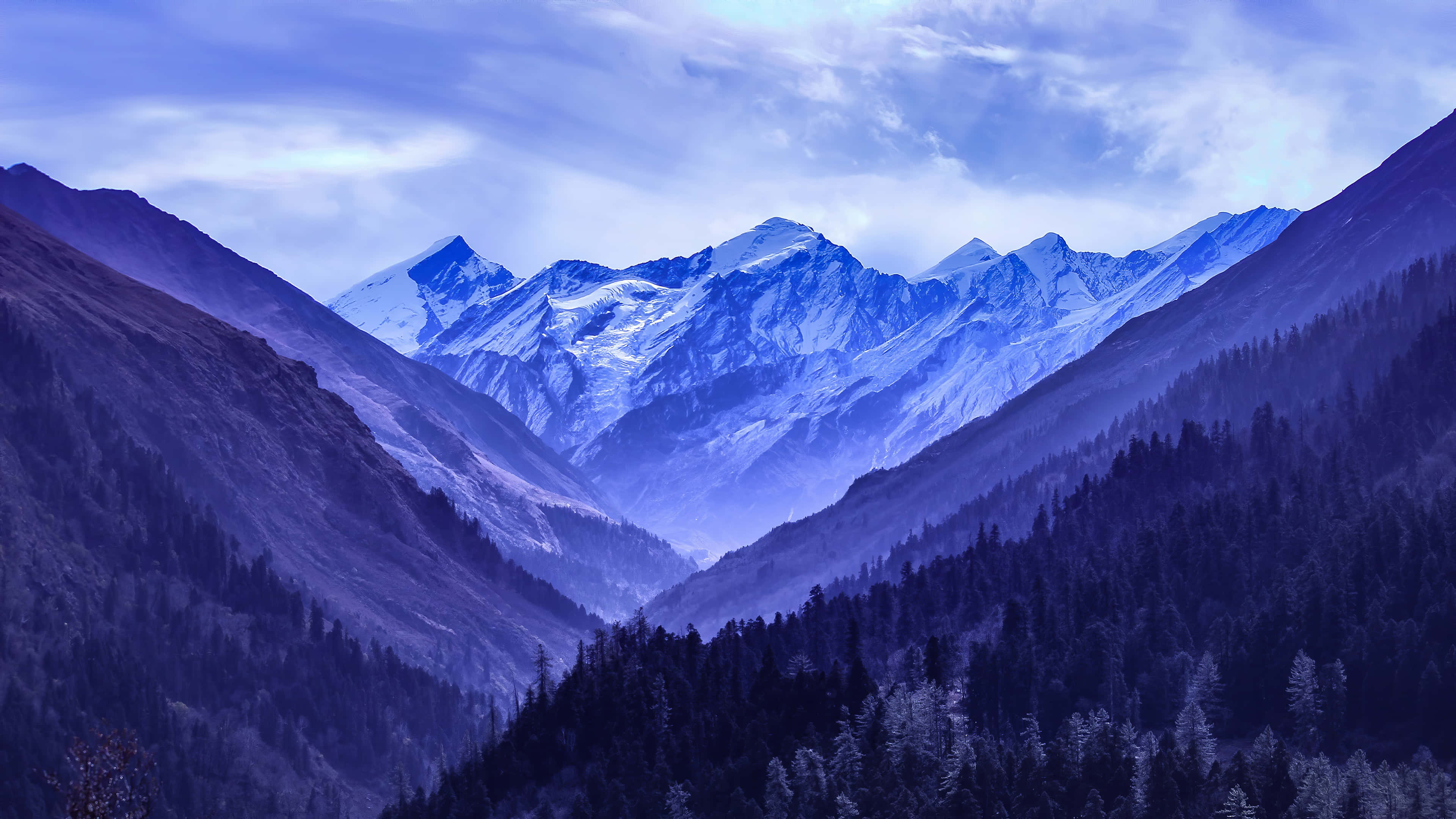 山景 桌布 壁紙 — 雄偉的雪山山脈在陰沉的暮色天空下，從充滿茂密常綠森林的深谷中升起。