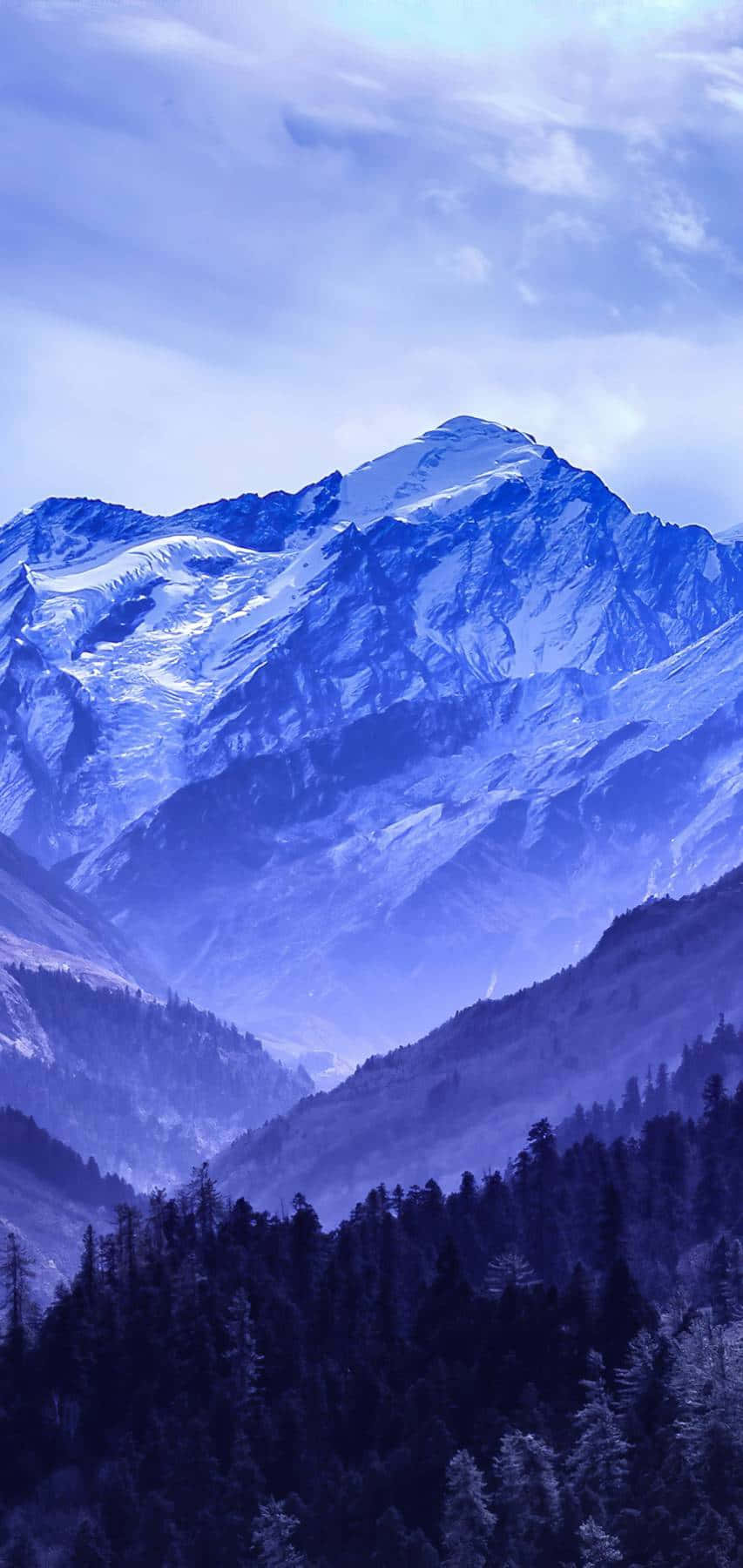 藍色美學 桌布 壁紙 — 雄偉的雪山山脈沐浴在清涼的藍光中，下方是茂密的常綠森林。