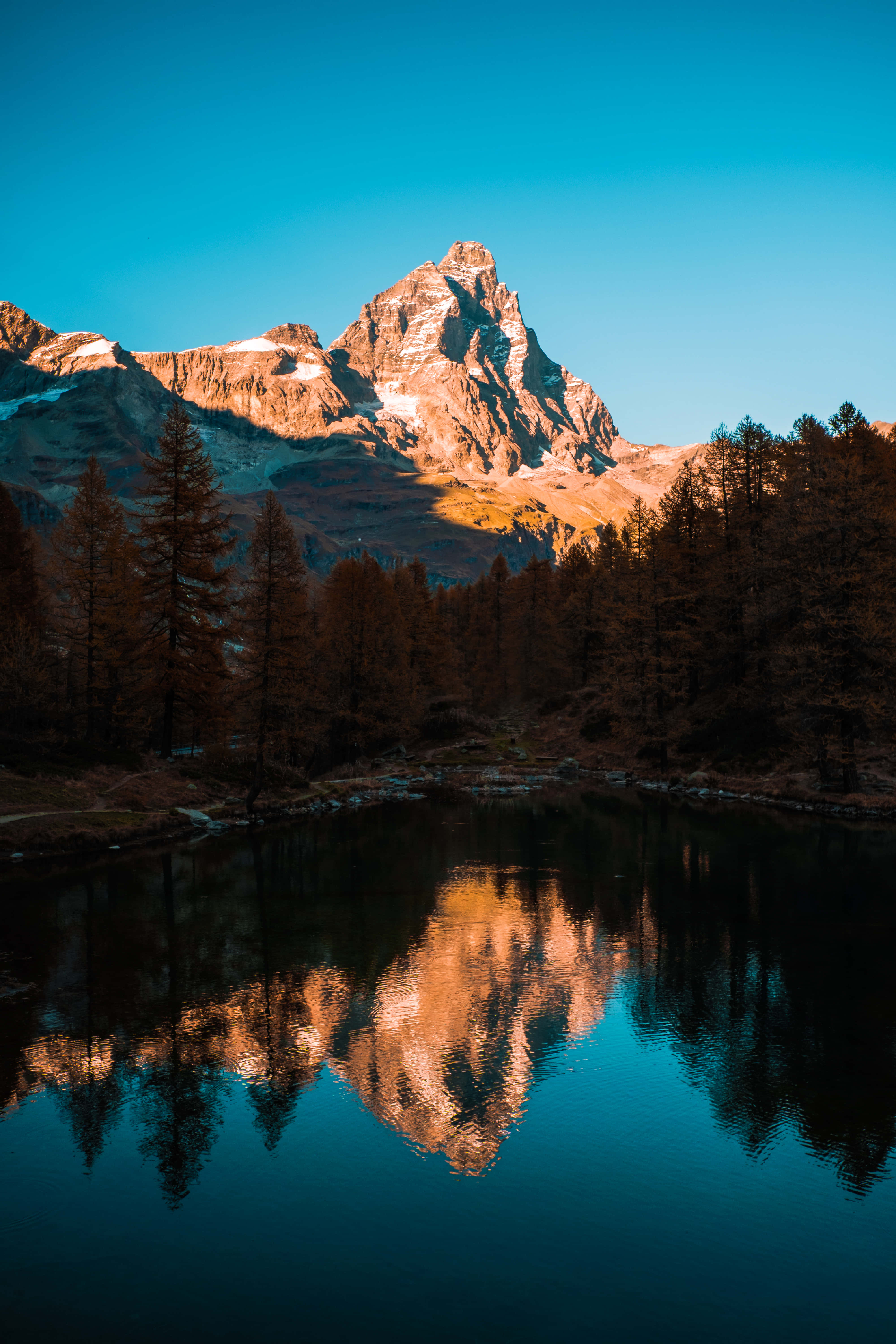 Mountain Scenery 桌布 壁紙 — 雄偉的雪山峰頂，倒映在平靜的湖面上，湖水反射著金色的光芒和深色的松樹，天空清澈湛藍。