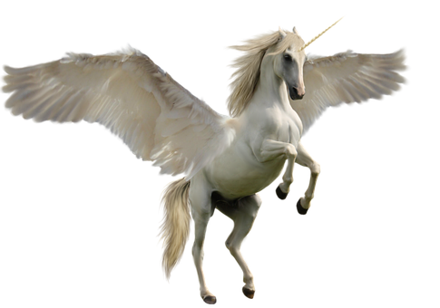 雄偉的飛馬獨角獸 壁紙
