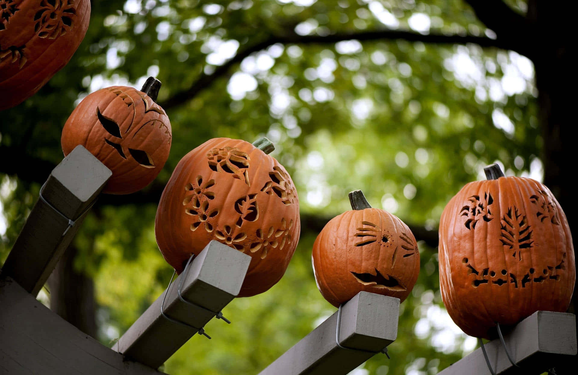 Halloween Yard Decorations 桌布 壁紙 — 雕刻的橙色南瓜帶有複雜的葉子和面孔設計，放在欄杆上，背景是柔和的綠色樹葉。