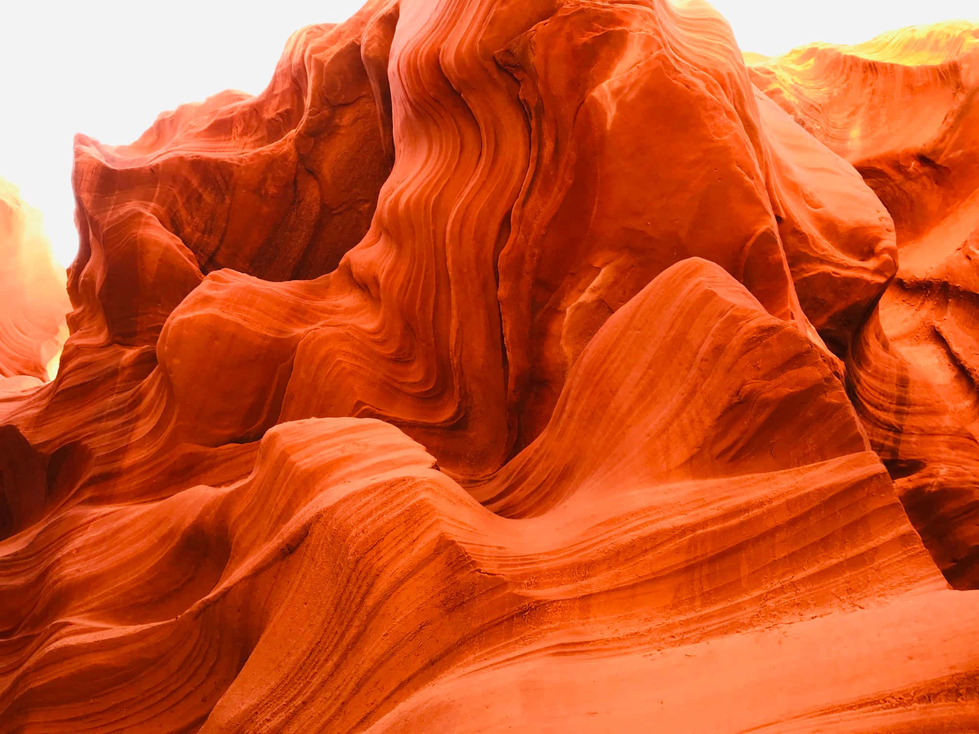 Arizona 桌布 壁紙 — 雕刻的橙色砂岩波浪在沙漠峽谷中，在金黃色陽光下溫暖地發光。