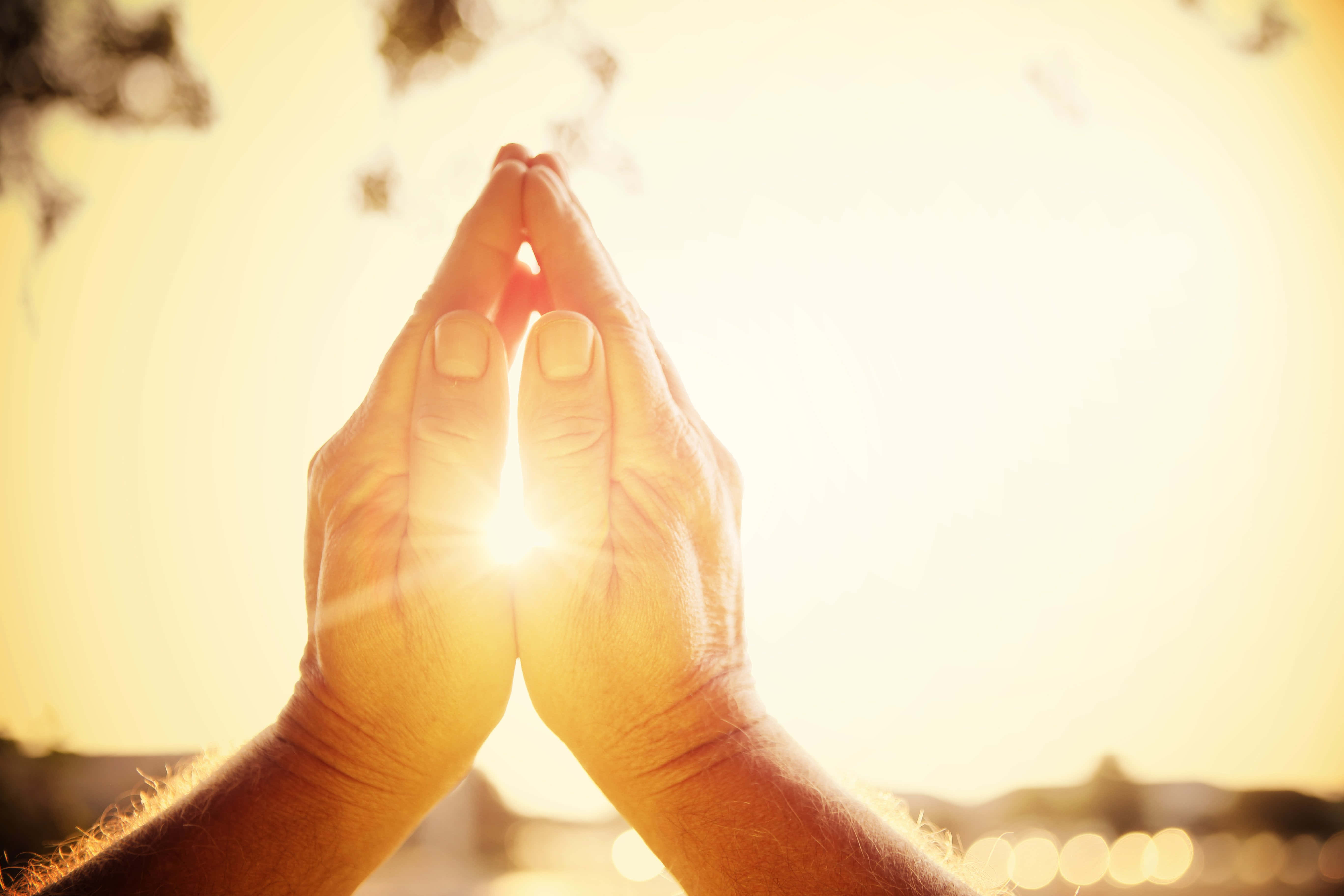 hands 桌布 壁紙 — 雙手合十，框住溫暖金色天空中明亮的陽光，背景是模糊的樹葉。