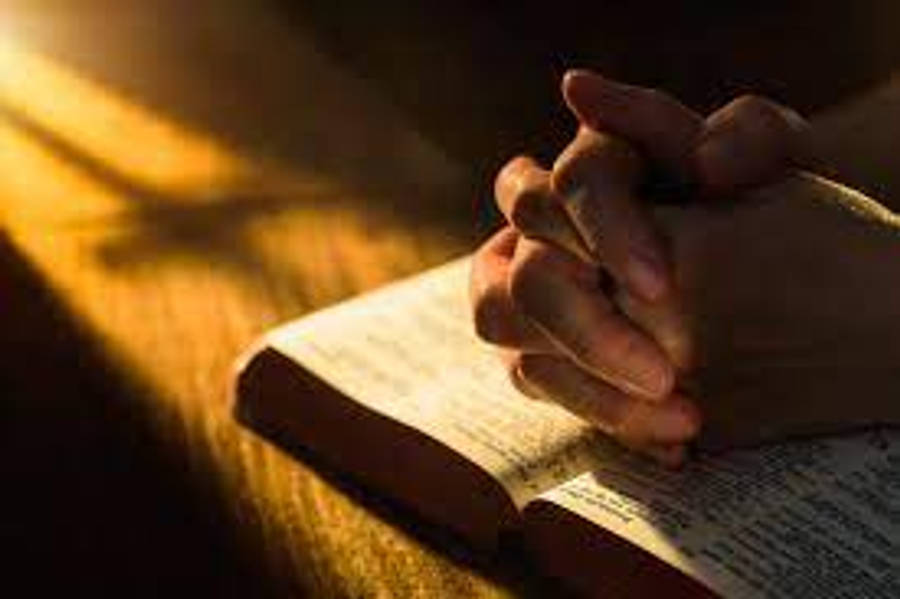 Praying 桌布 壁紙 — 雙手合十祈禱，輕輕放在一本打開的書上，書本沐浴在溫暖的金色陽光中。