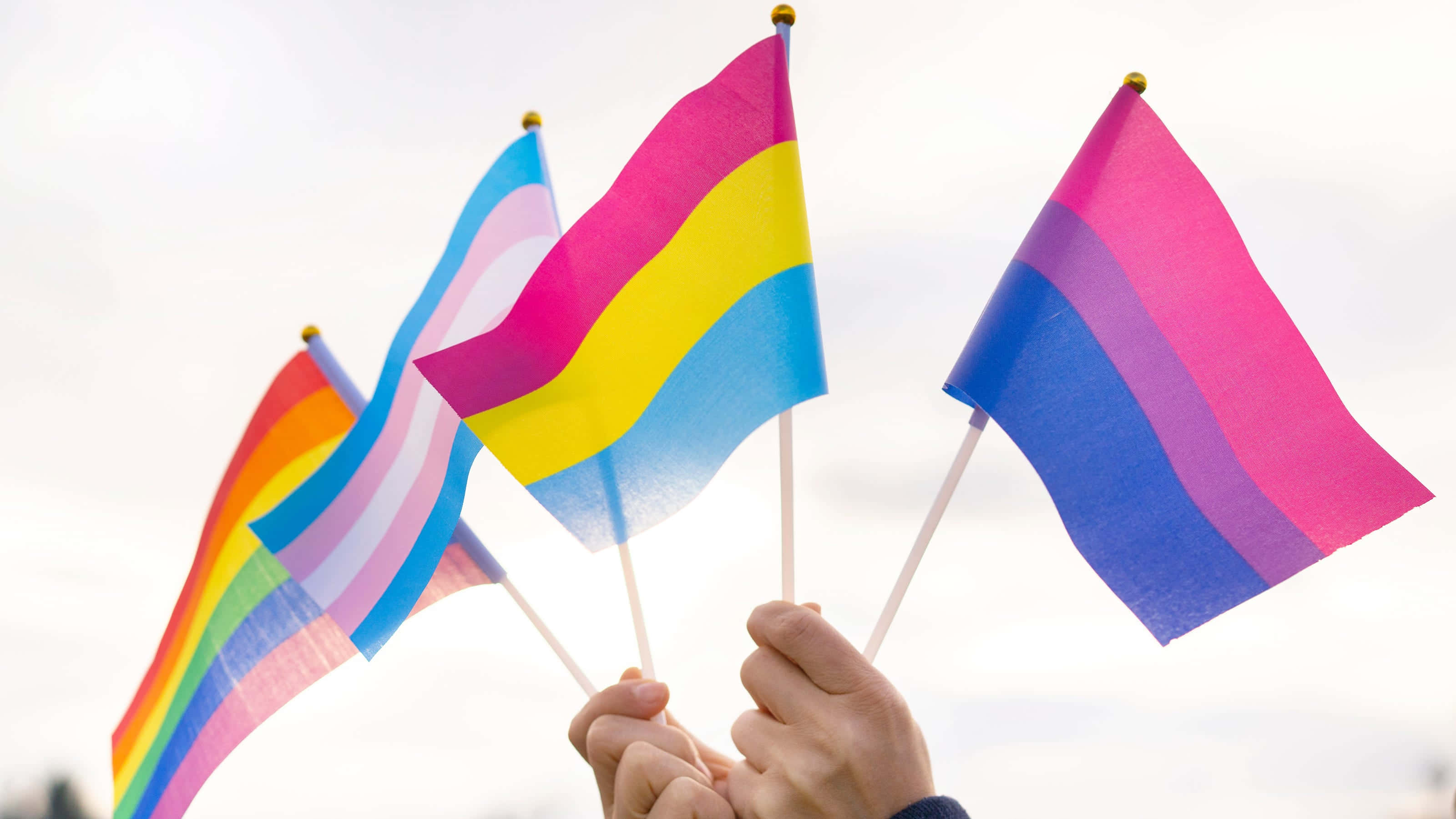 Pride Flag 桌布 壁紙 — 雙手在柔和的多雲天空下舉起色彩繽紛的LGBTQ+驕傲旗幟，展現充滿活力的團結精神。