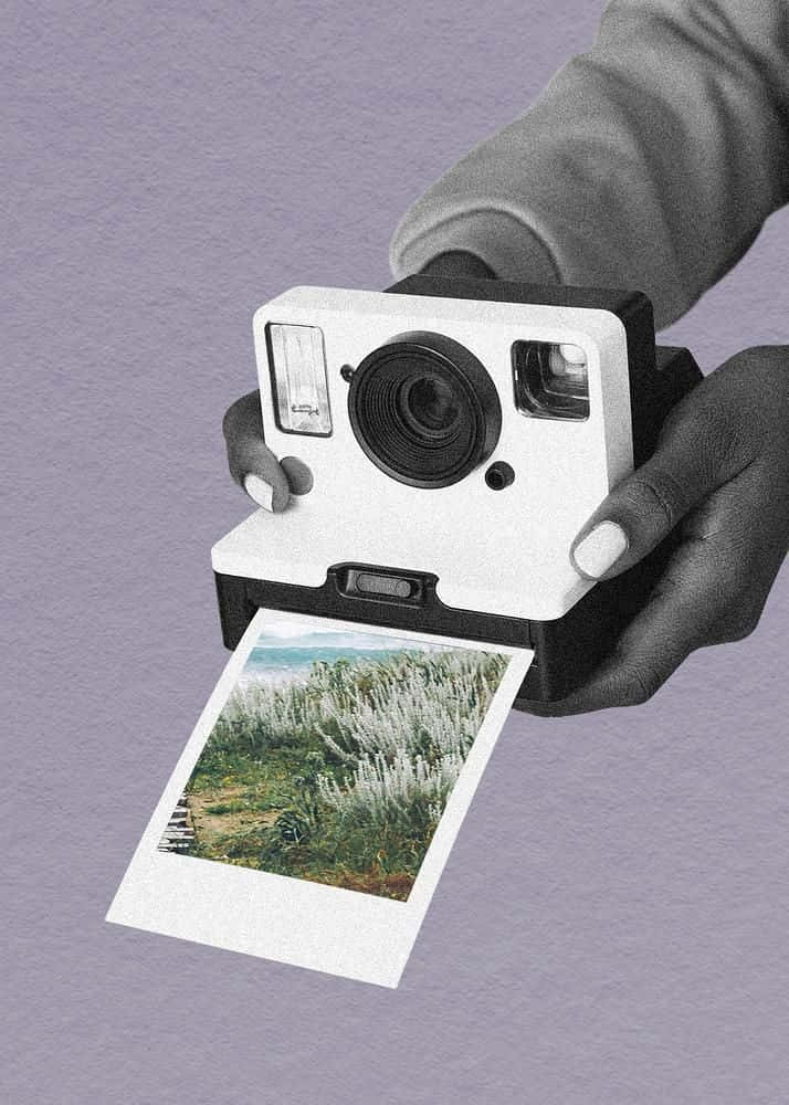 Holding Camera 桌布 壁紙 — 雙手拿著一台白色拍立得相機，正在彈出一張照片，照片中是紫色背景前的一片高大白色花朵田野。