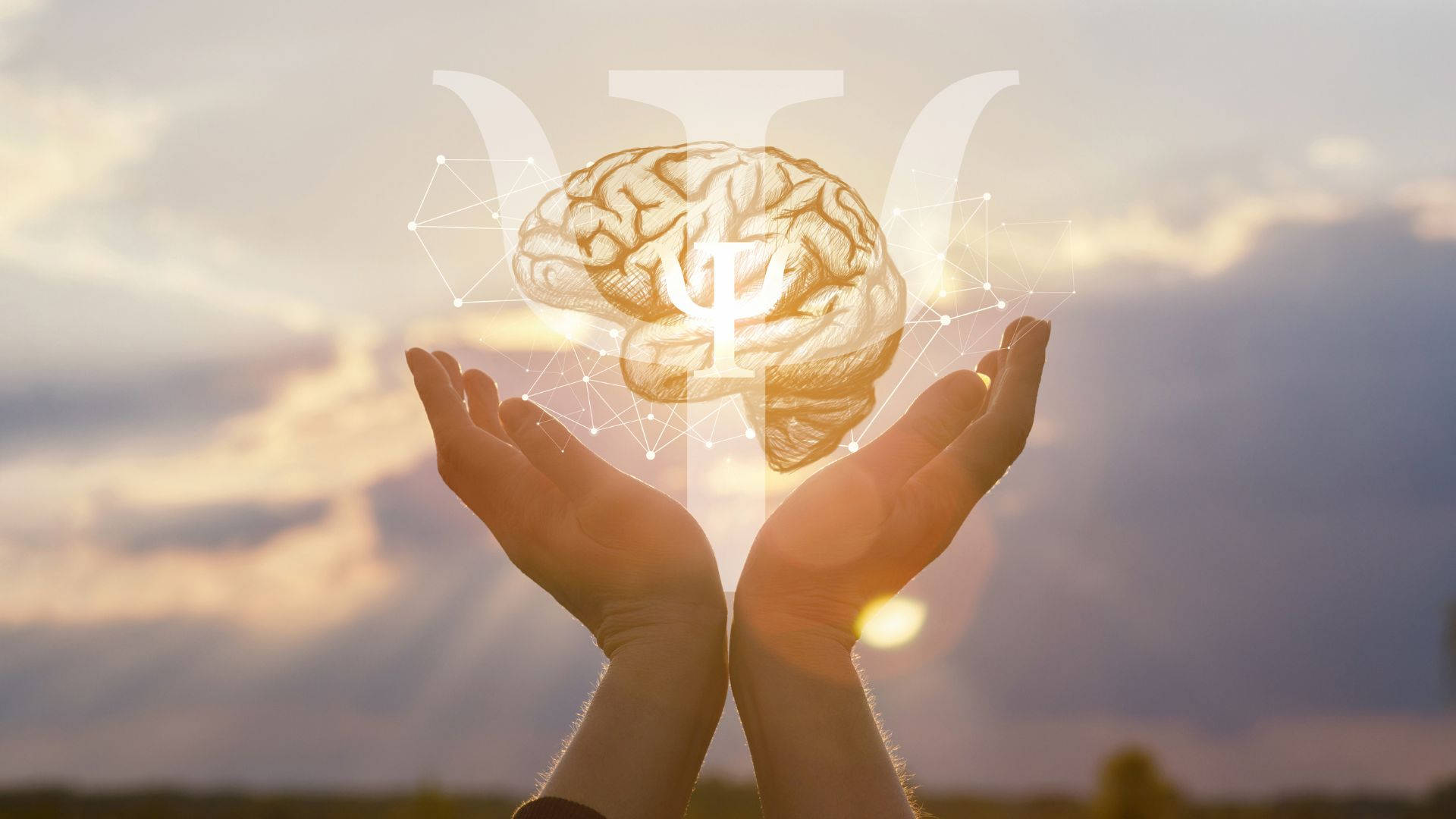 mind 桌布 壁紙 — 雙手捧著一個發光的大腦，帶有PSI符號和神經網絡，背景是日落天空。