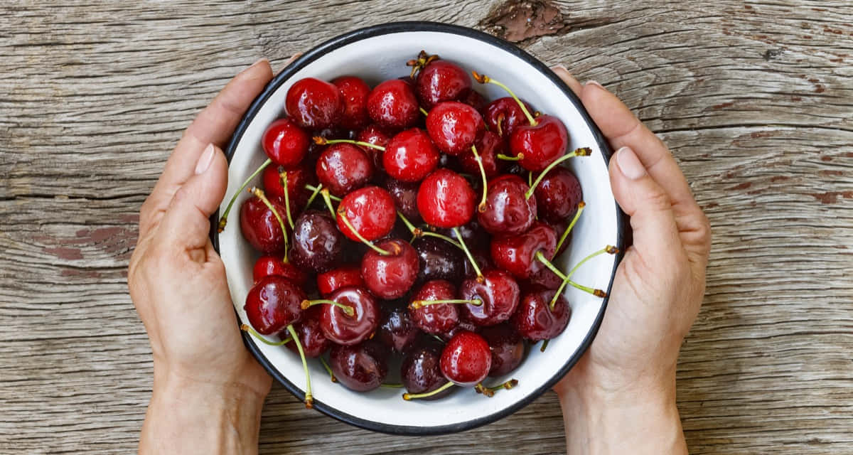 Red Cherries 桌布 壁紙 — 雙手捧著一個白色琺瑯碗，碗裡裝滿了閃閃發光的紅櫻桃，放在一個經風化的木質表面上。