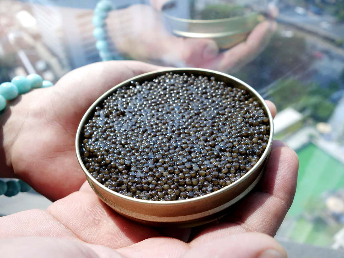 Black Caviar 桌布 壁紙 — 雙手捧著一罐金色的黑魚子醬，背景是模糊的城市景觀。