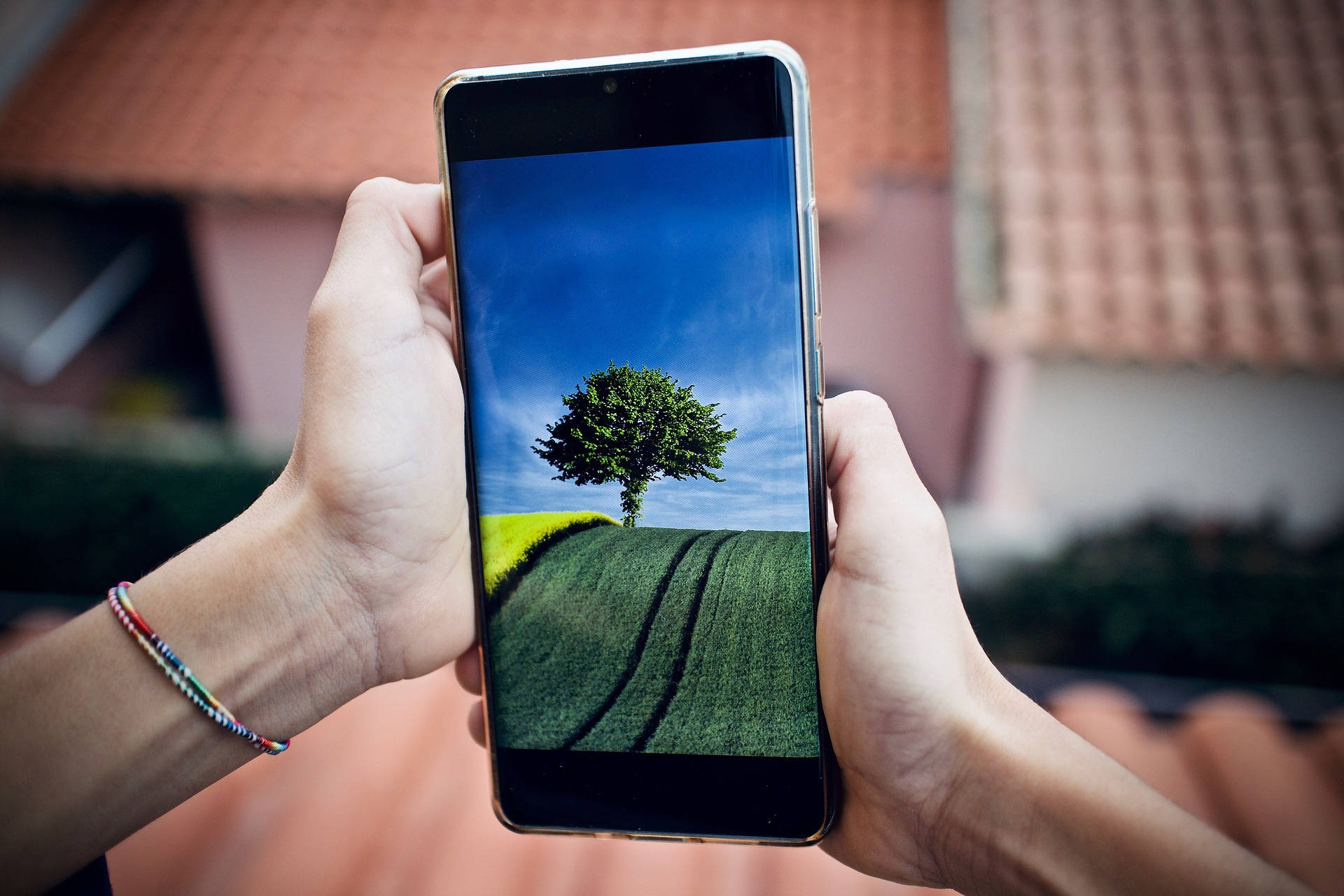 Digital 桌布 壁紙 — 雙手握住智慧型手機，顯示在晴朗藍天下綠色田野上的一棵孤樹。