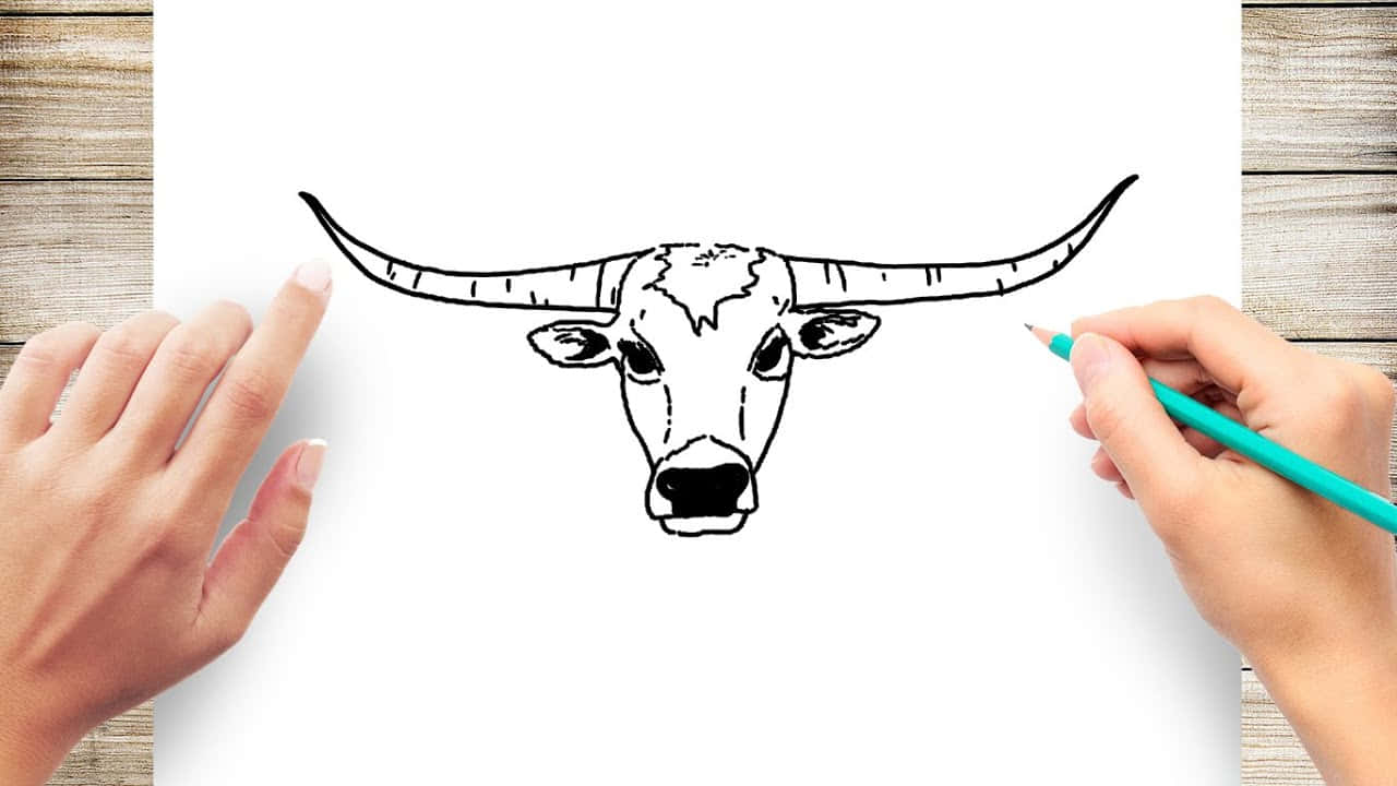 Longhorn 桌布 壁紙 — 雙手用綠色鉛筆在木質表面上的白紙上素描一個詳細的長角牛頭。