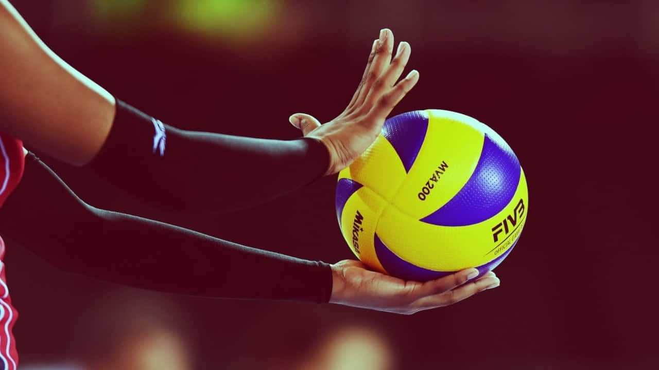 Volleyball 桌布 壁紙 — 雙手緊握鮮黃色和紫色FIVB排球的特寫，背景為模糊的暗色。
