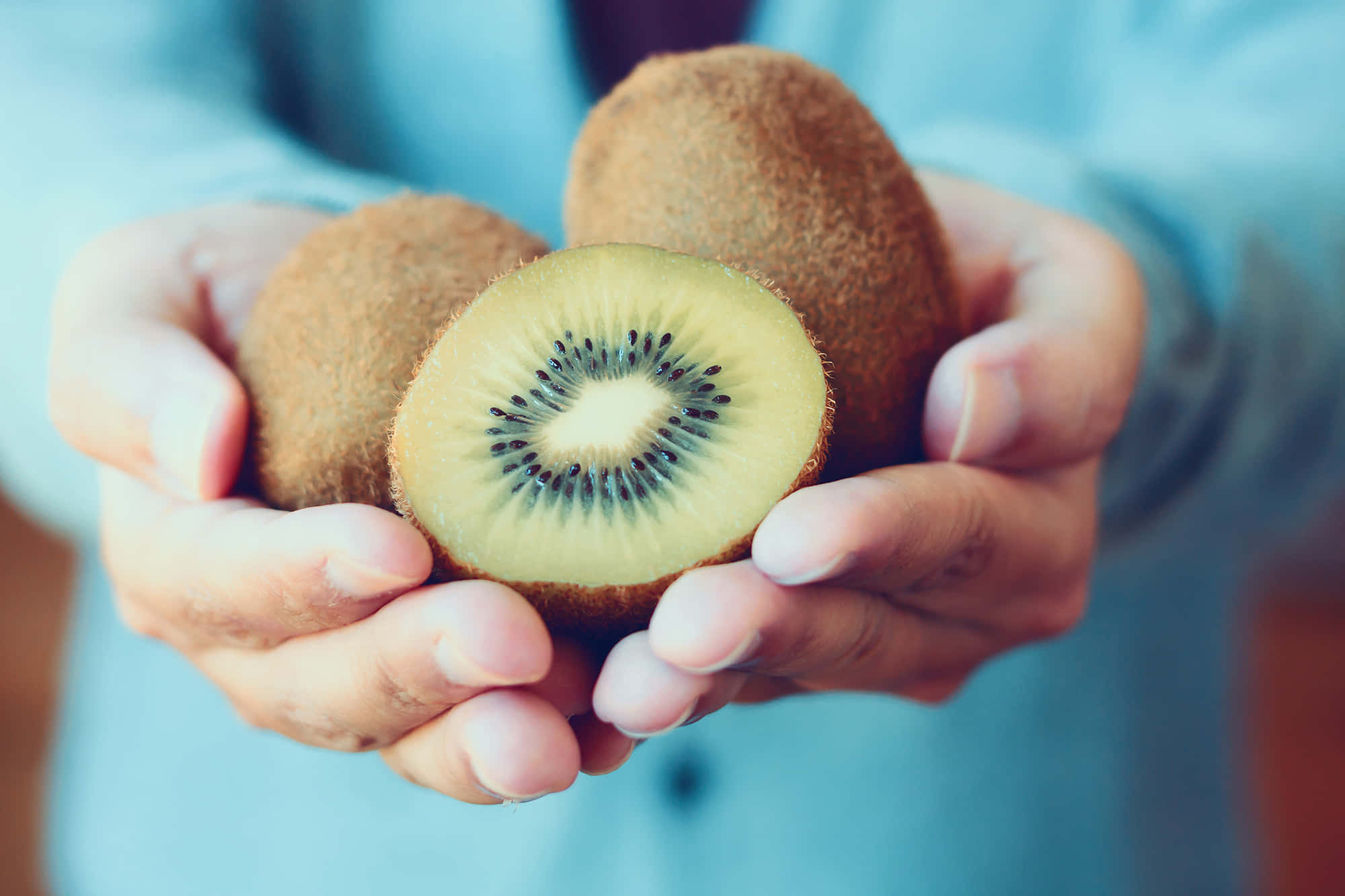 Fruit 桌布 壁紙 — 雙手輕捧新鮮奇異果，其中一個切開，露出多汁的綠色果肉和黑色種子。