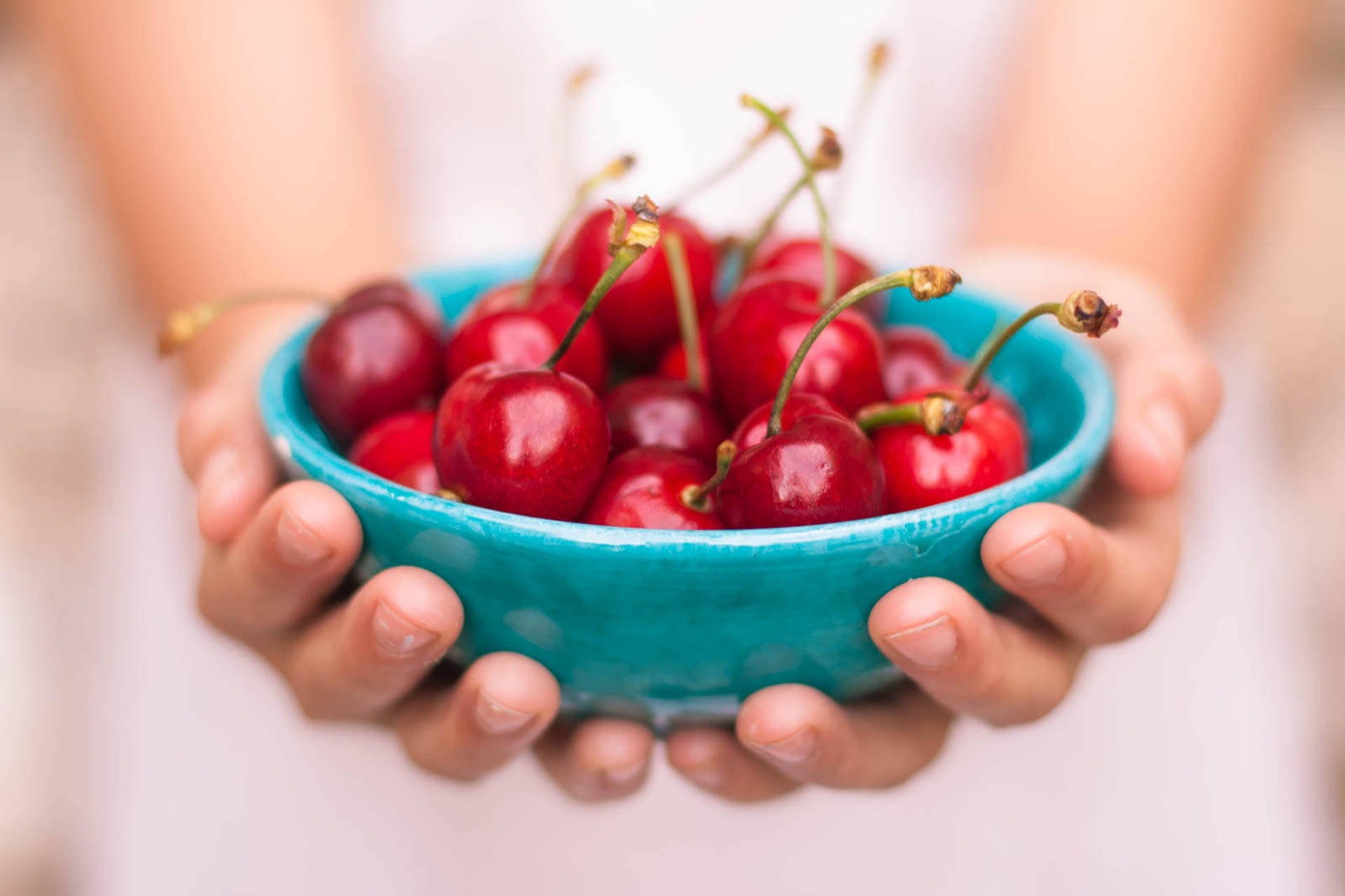 Cherry 桌布 壁紙 — 雙手輕輕捧著一個充滿光澤紅櫻桃的鮮豔藍綠色碗，背景柔和模糊。
